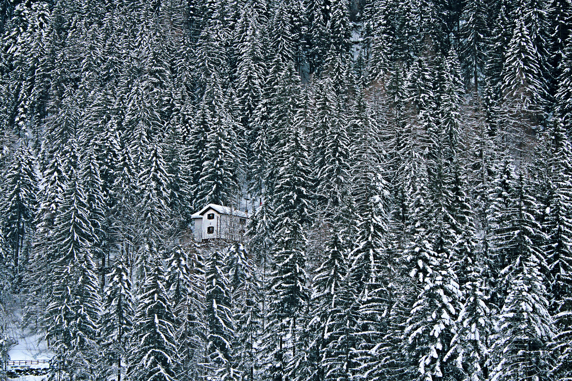 quella casa nel bosco