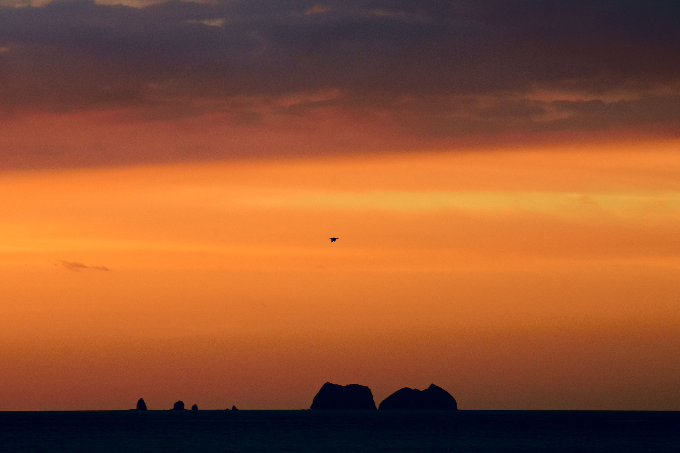 Playa Brasilito ( Costa Rica)