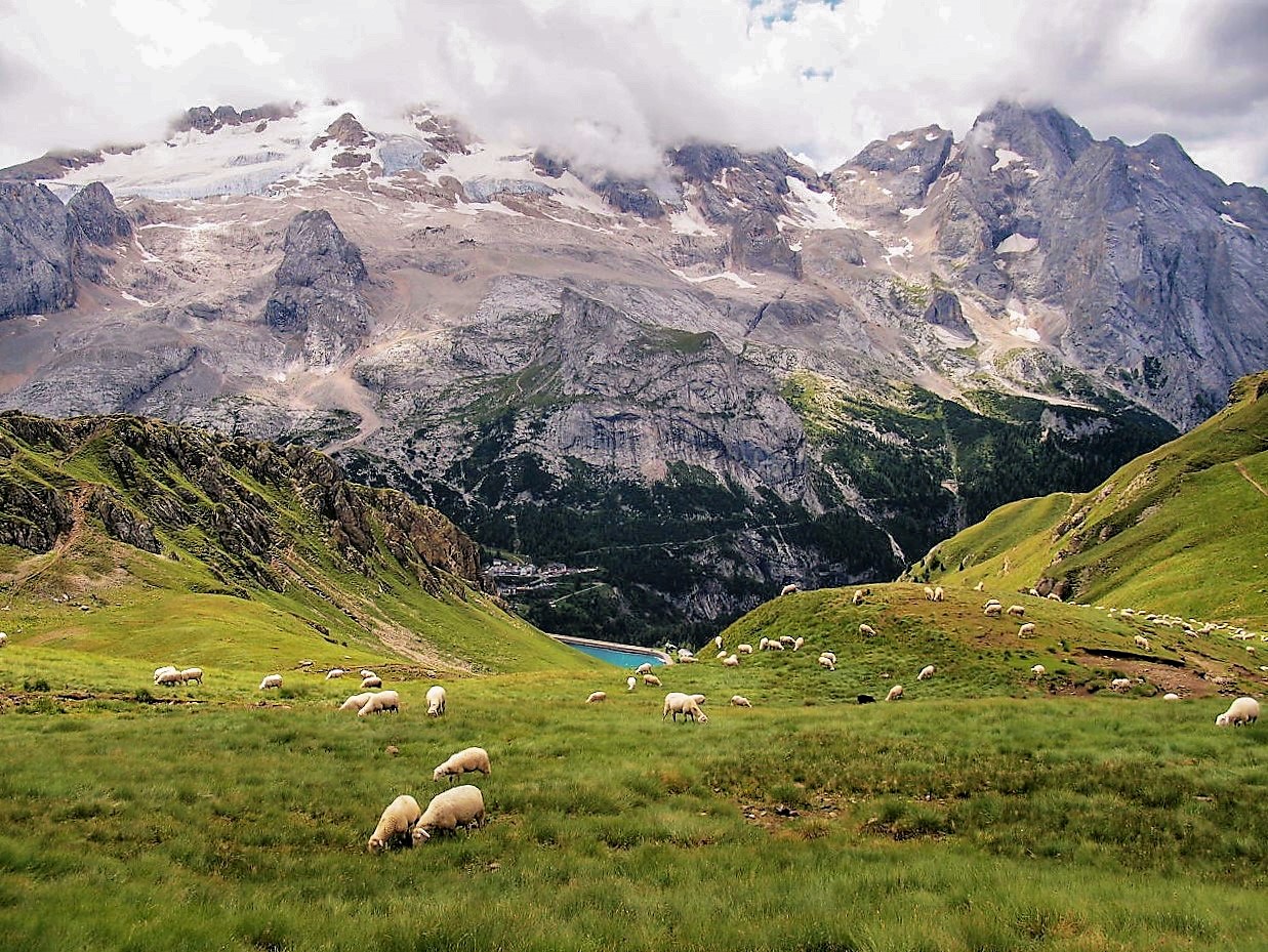 Marmolada