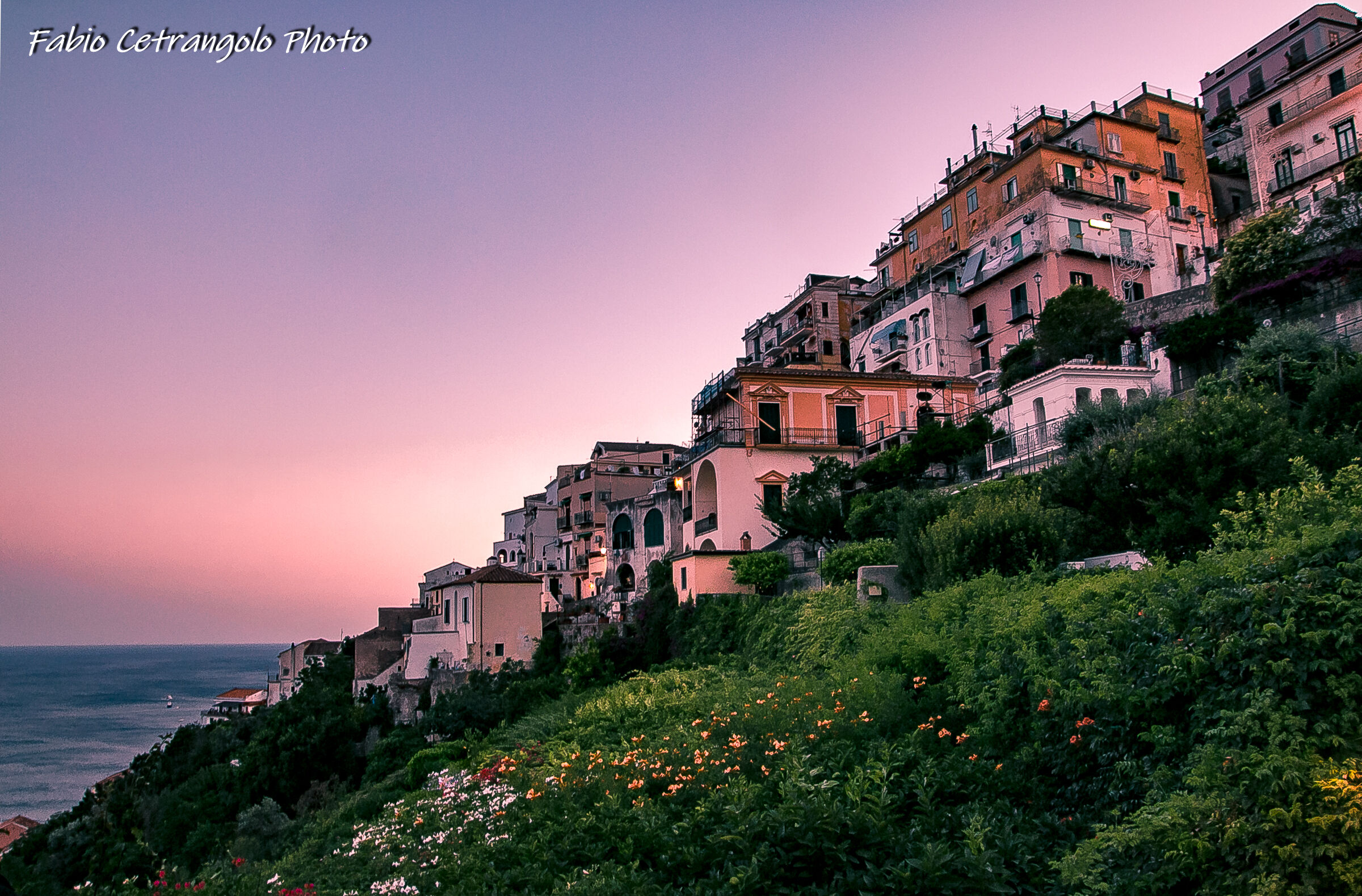 Raito (Sa) in pink sunset.