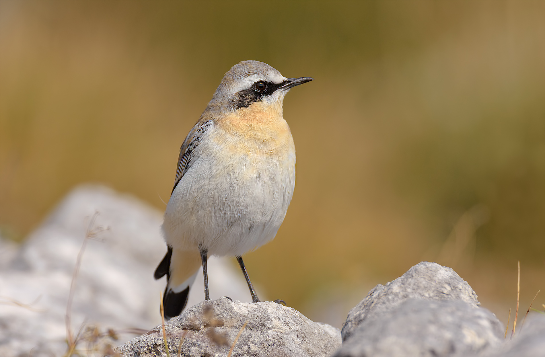 Culbianco- Alpi Apuane.