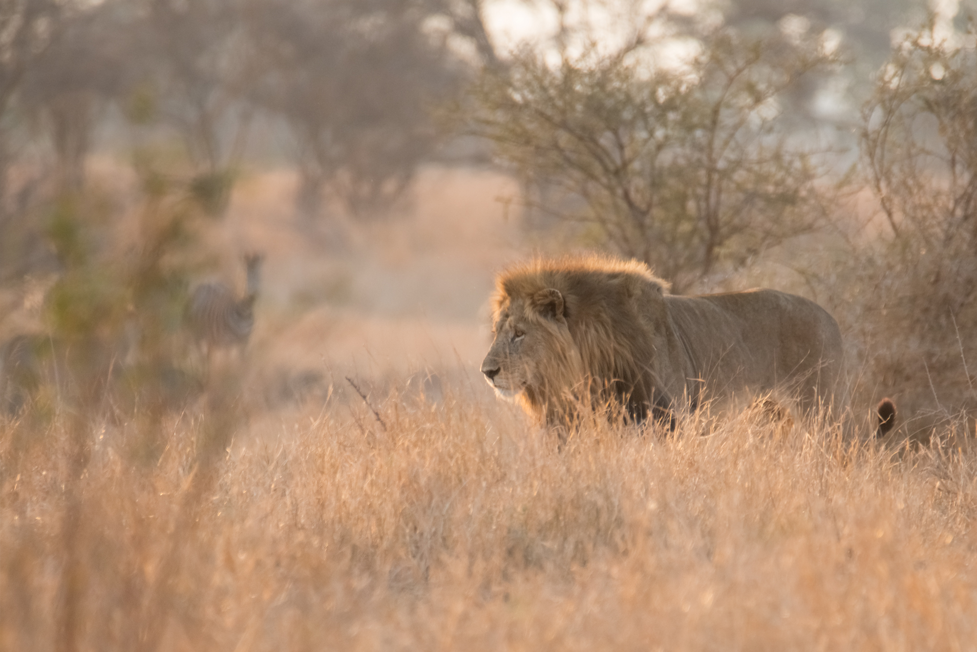 Yet it was there. just turn your eyes!!