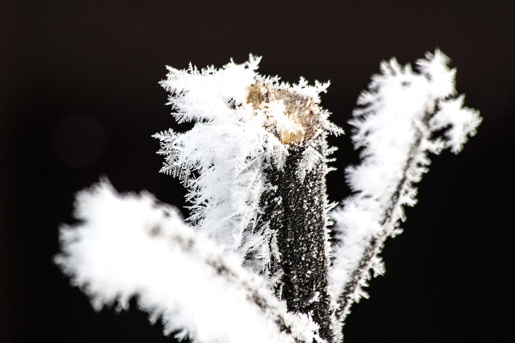 Cristalli di ghiaccio