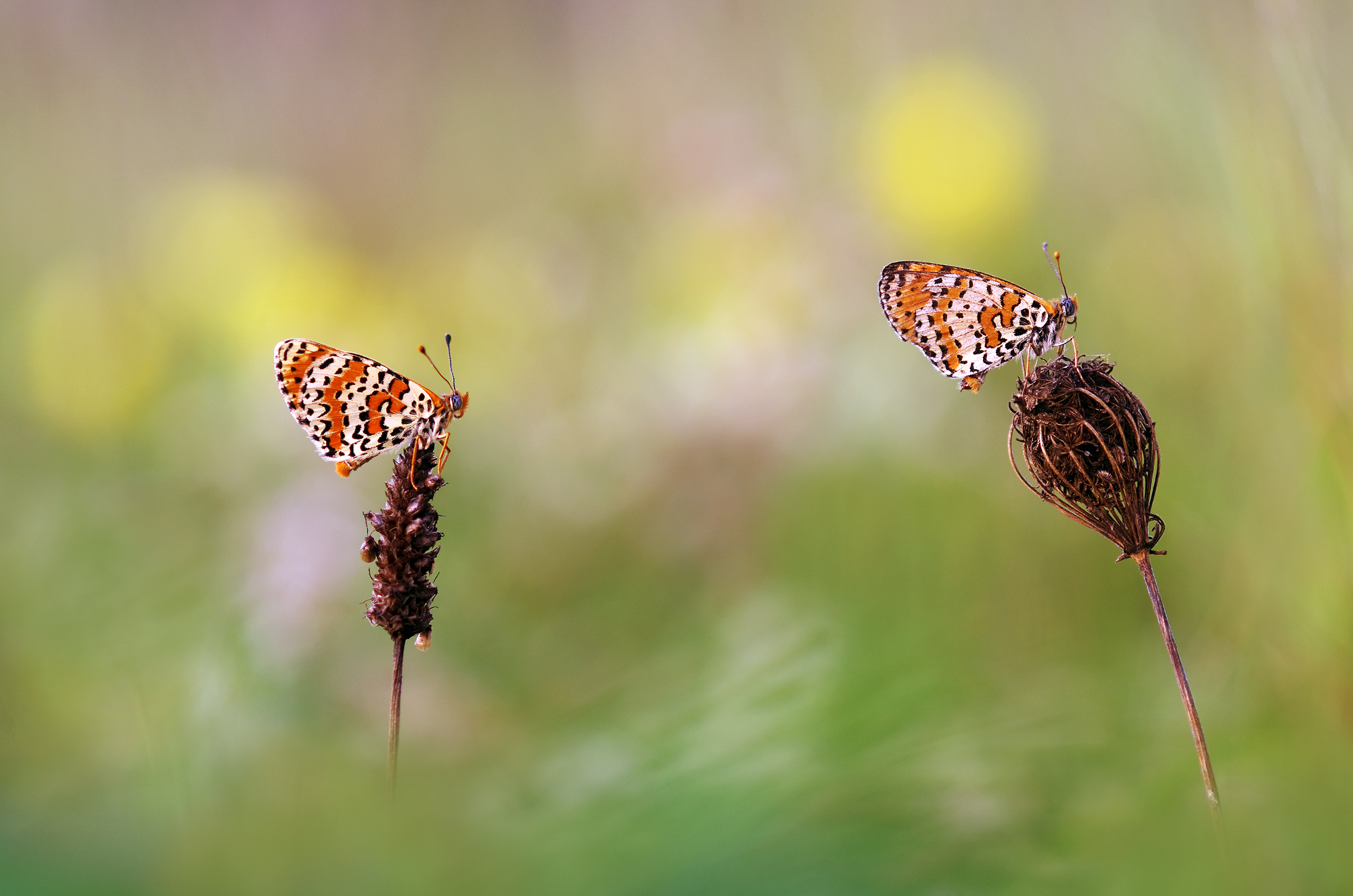Cambio generazionale