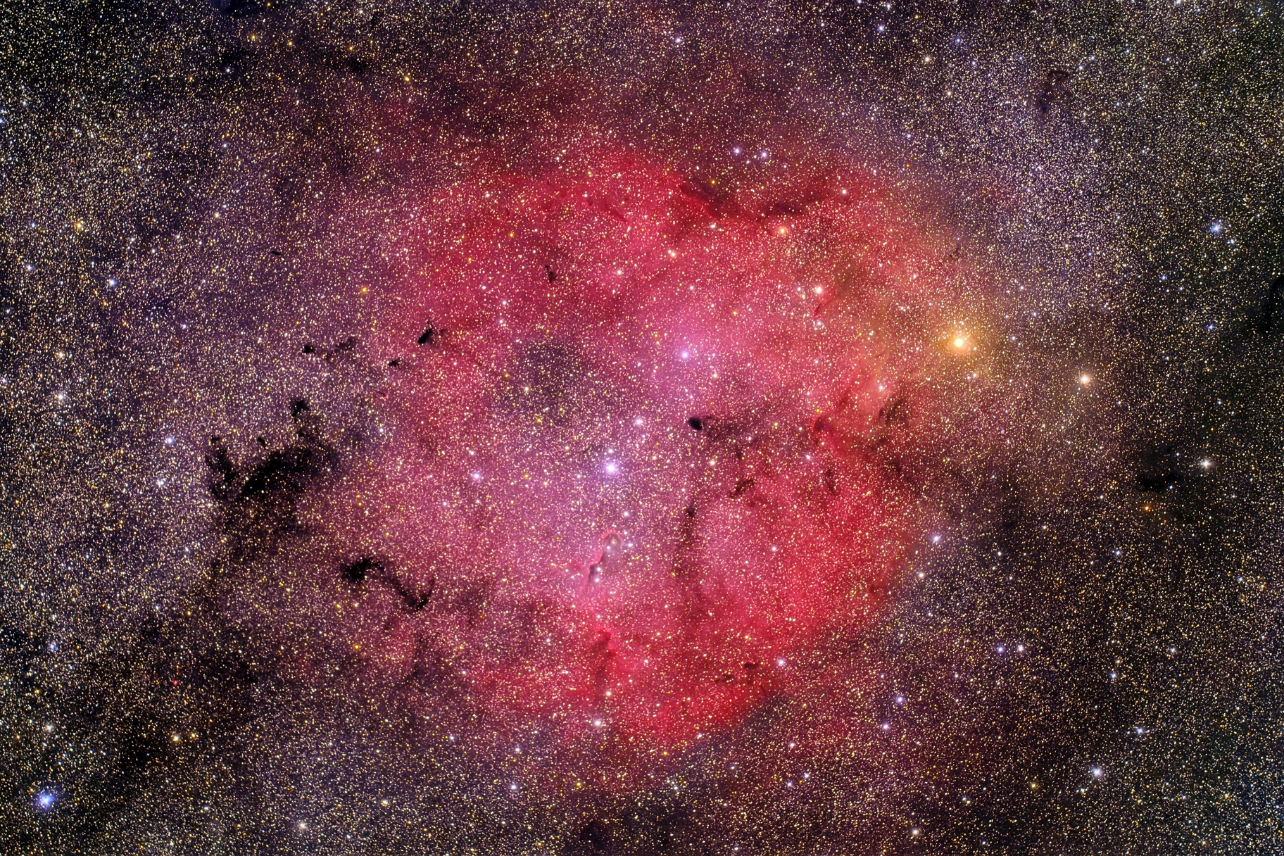 IC 1396 area