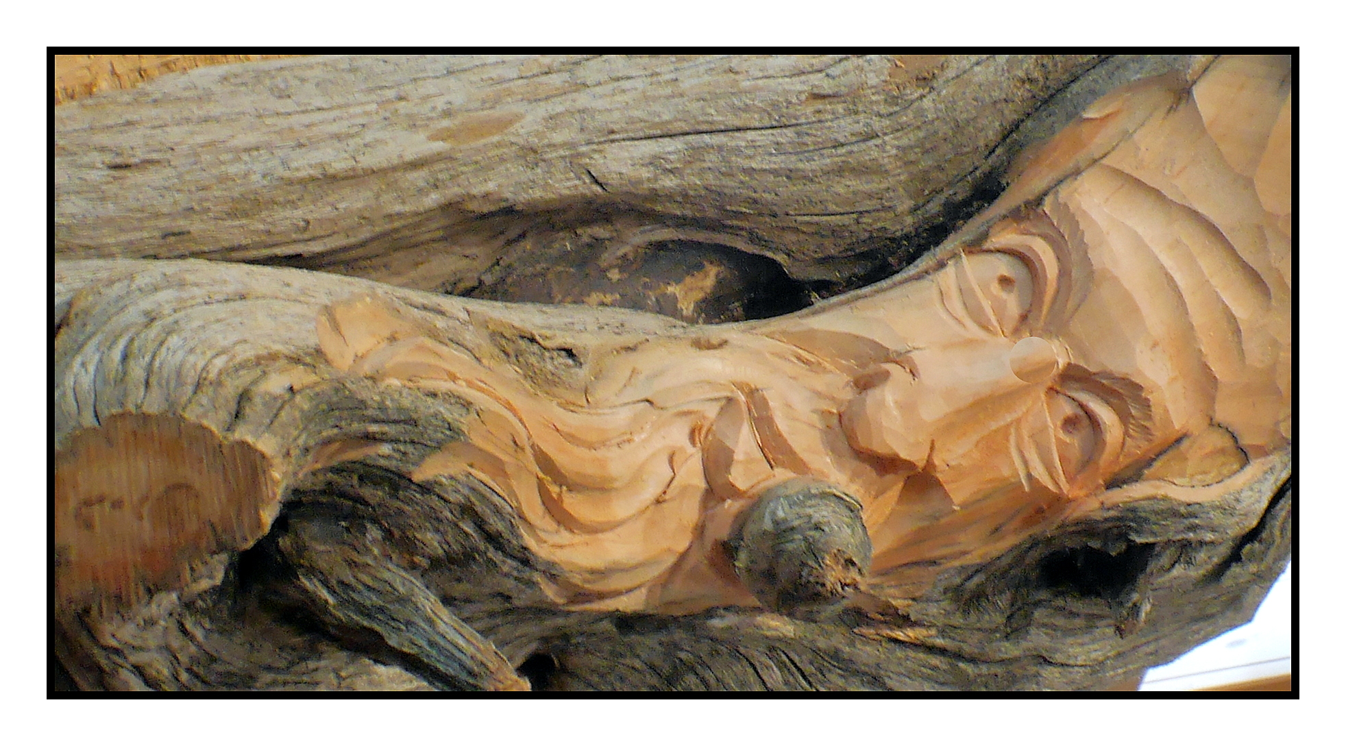 legno...vivo