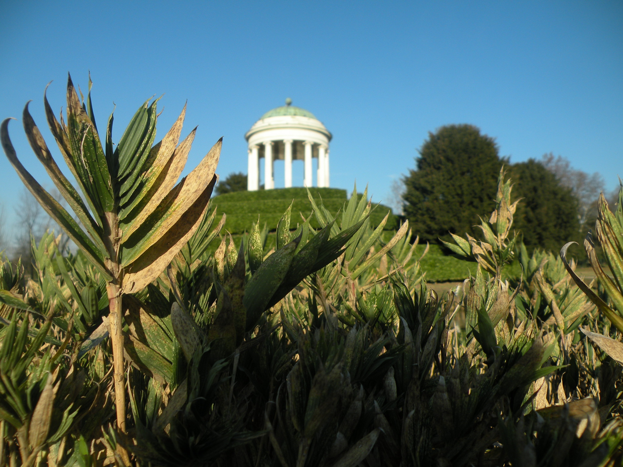 Parco Querini - prospettive