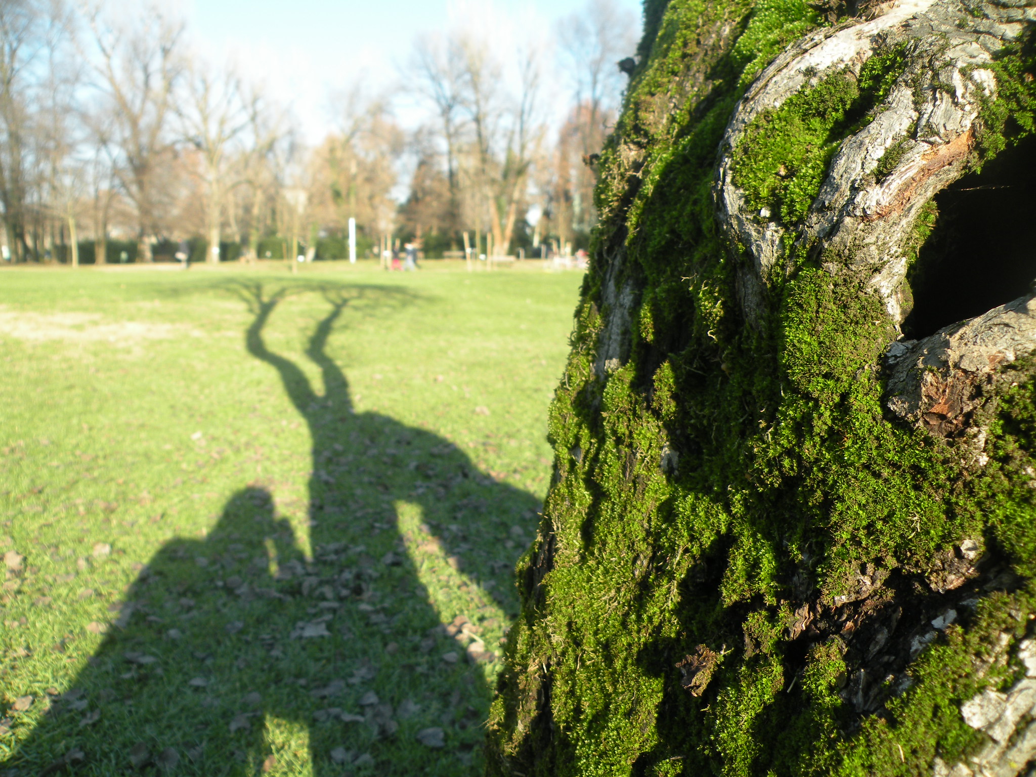 Parco Querini - prospettive