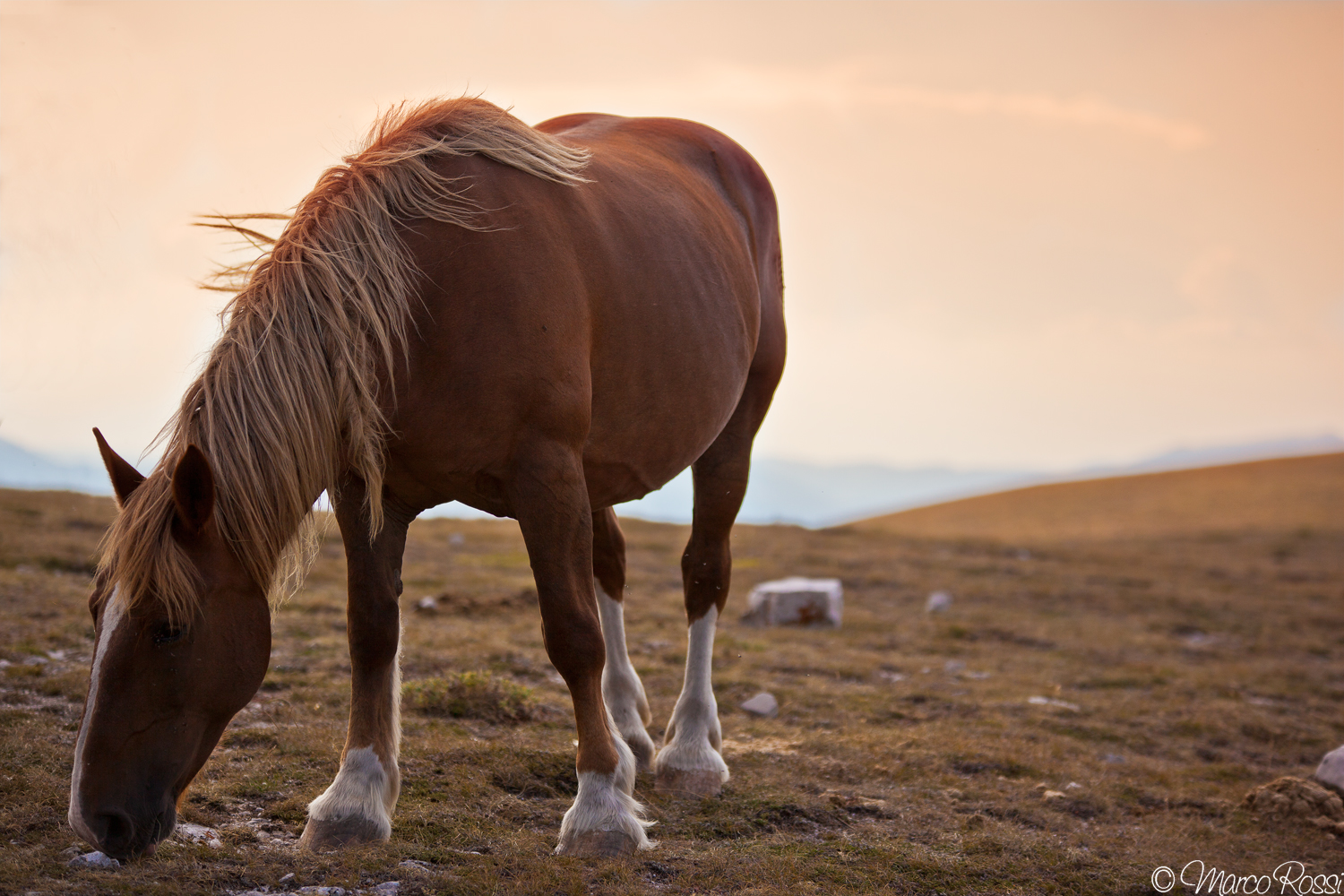 Ultimi bocconi della giornata