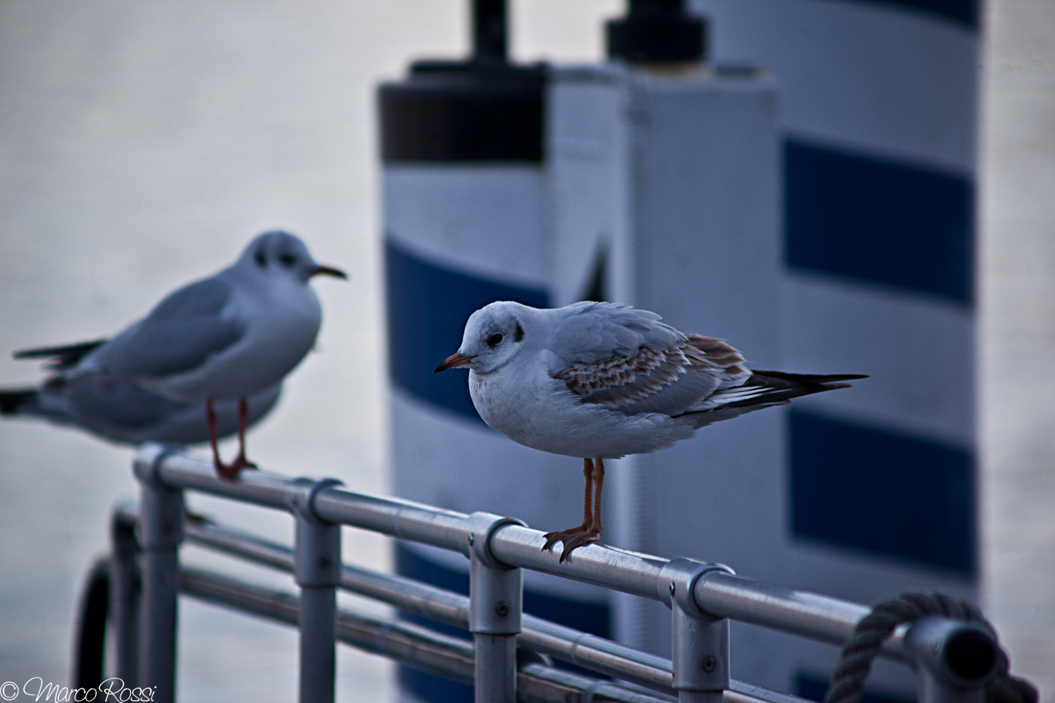 5 minute break please