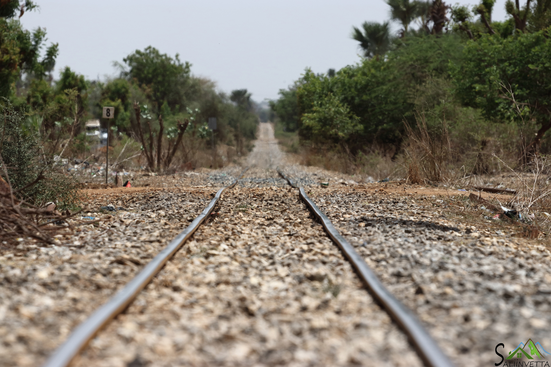 Il Treno in Senegal