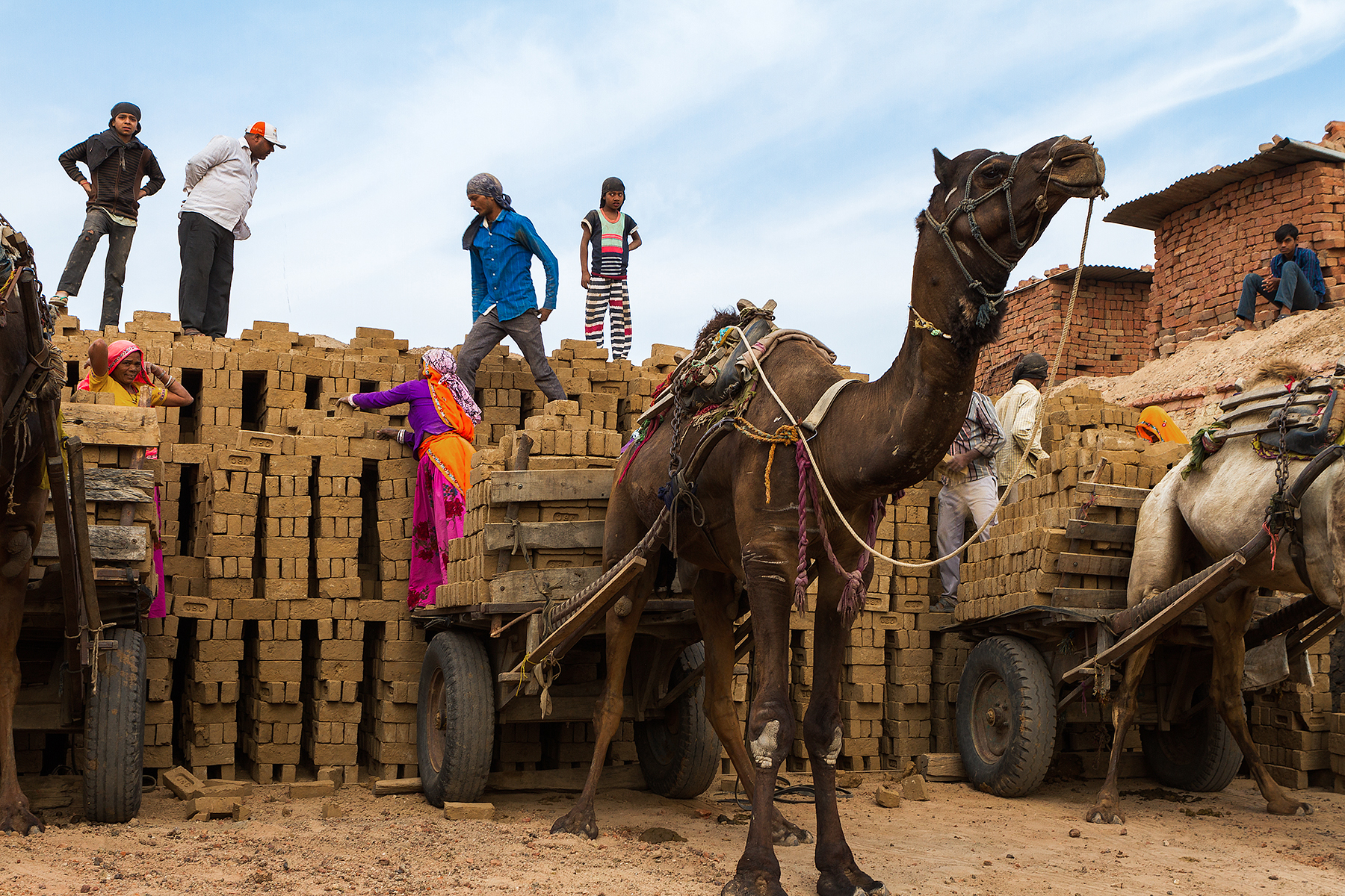 Hell of the Living 9