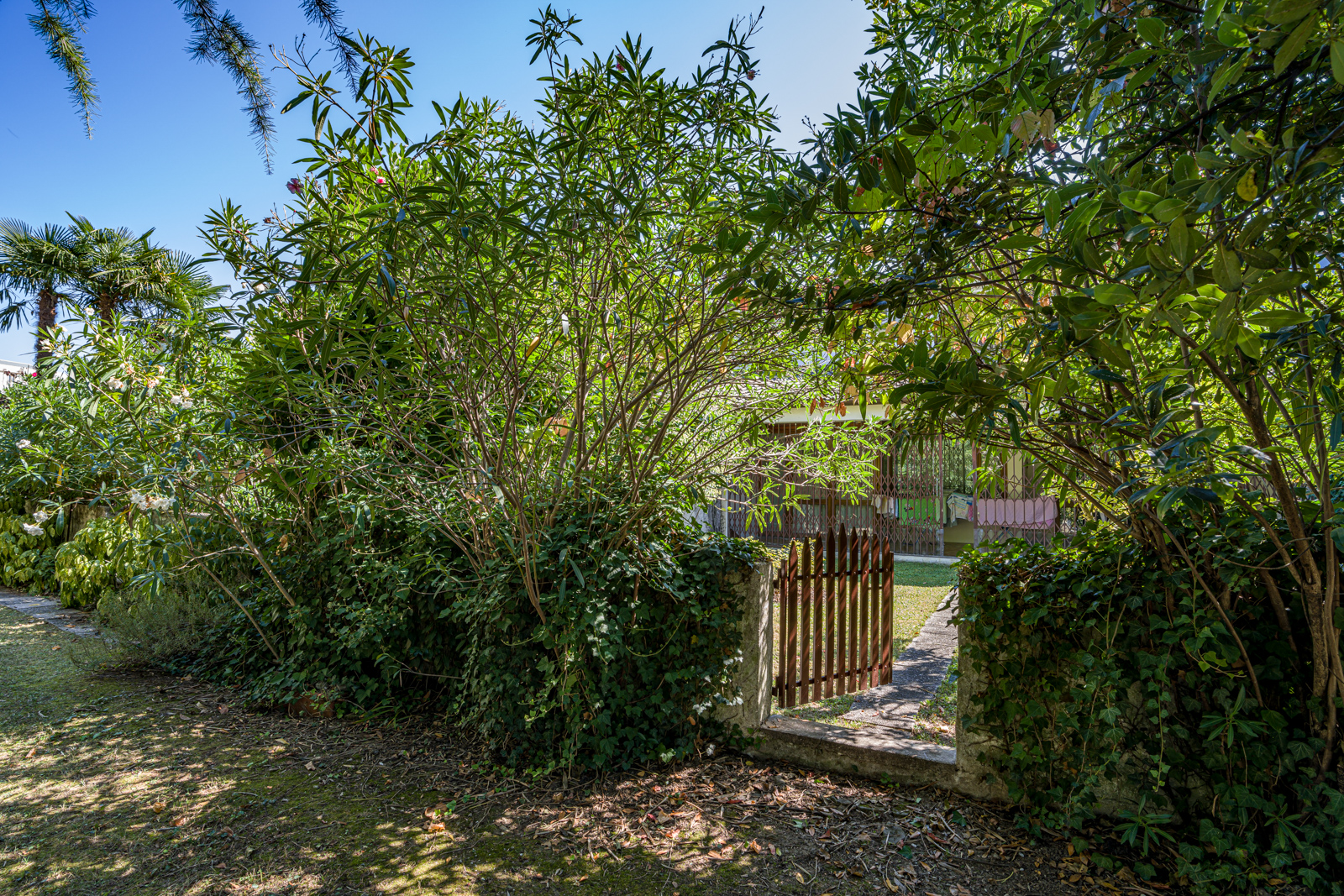 Shadow Recovery Overdone