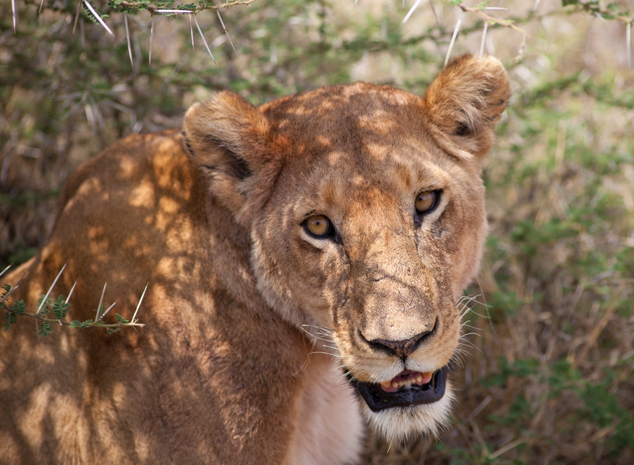perchè mi guardi cosi?