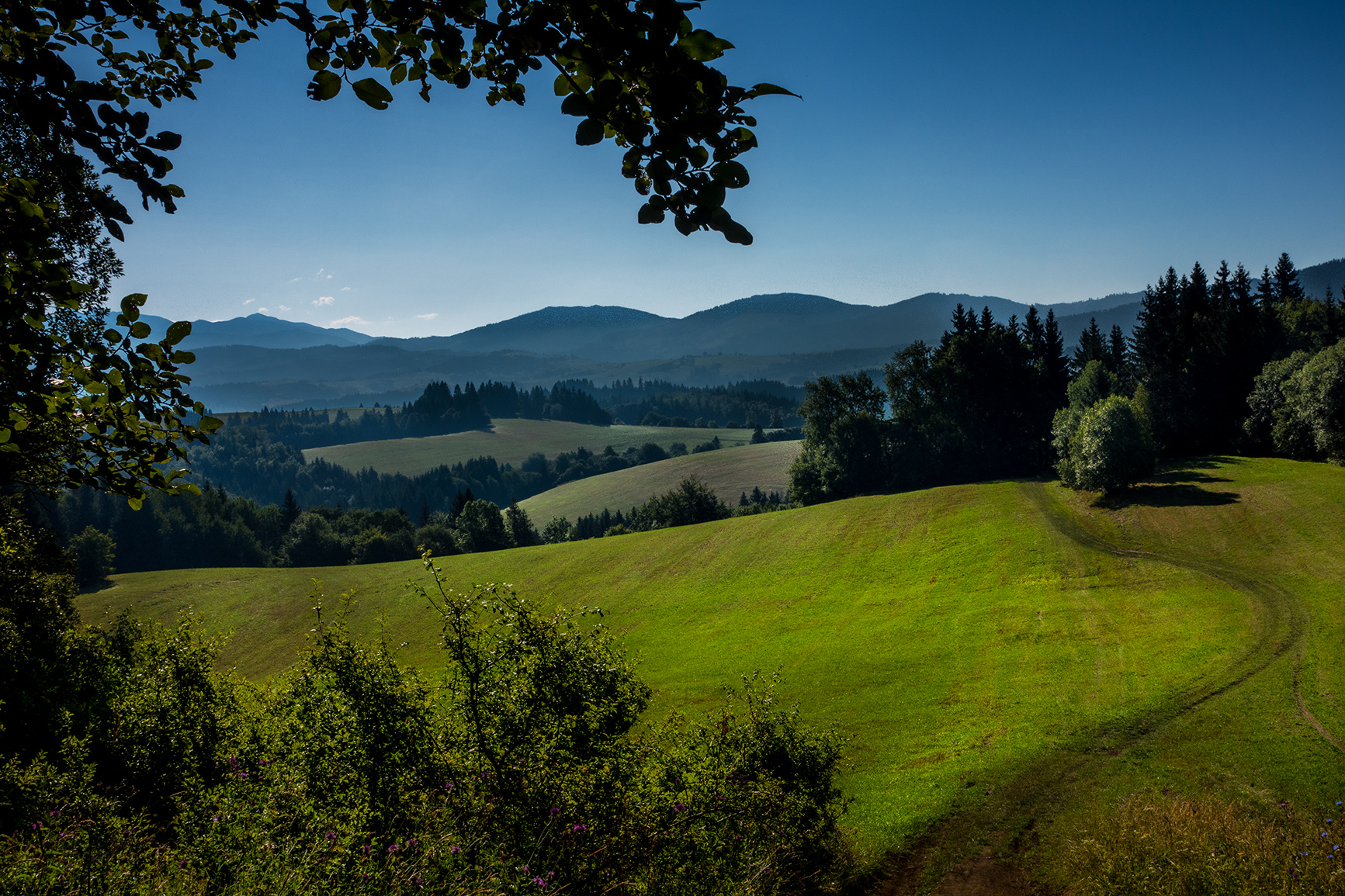 Doln'Kubàn Slovacchia