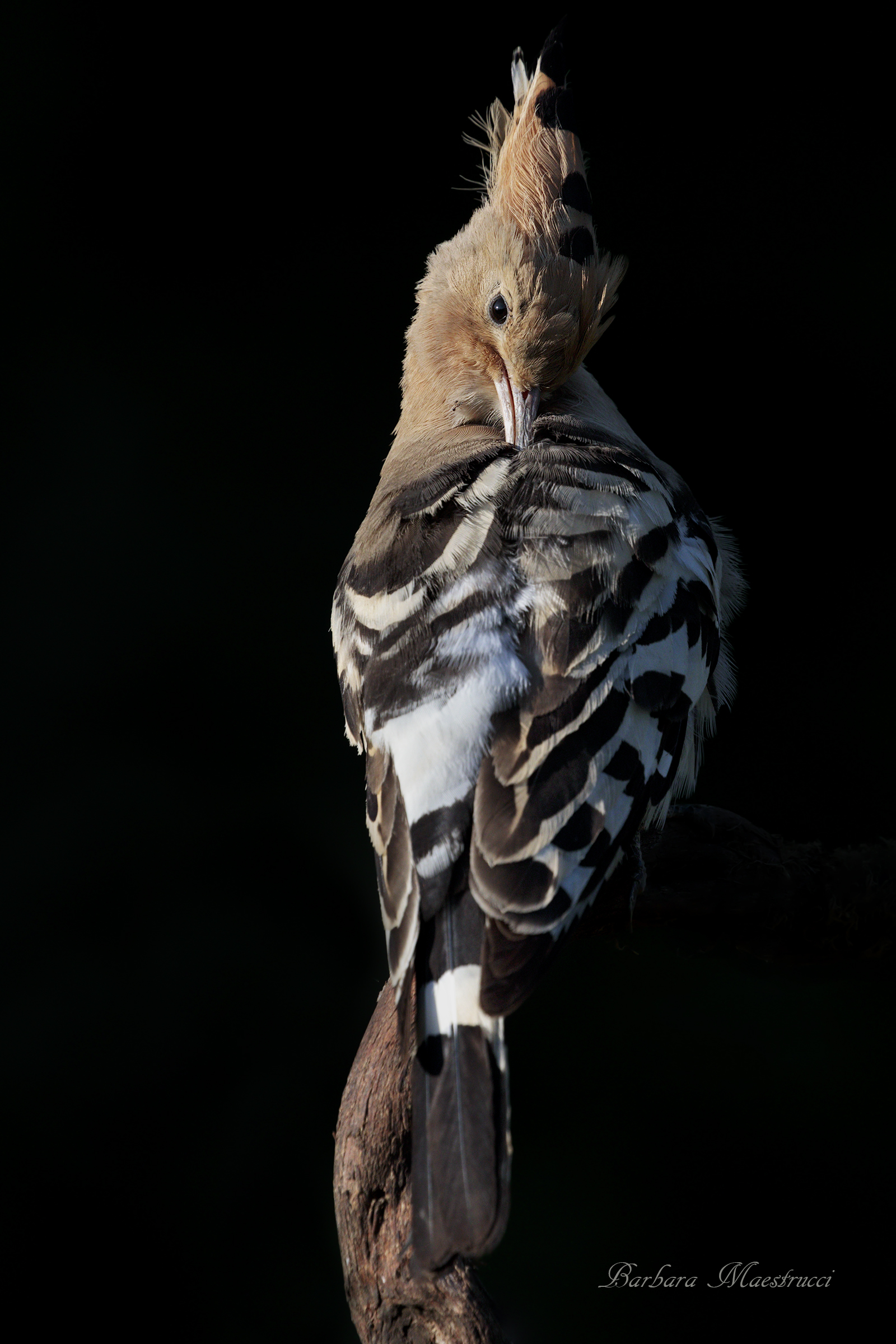 una luce particolare...