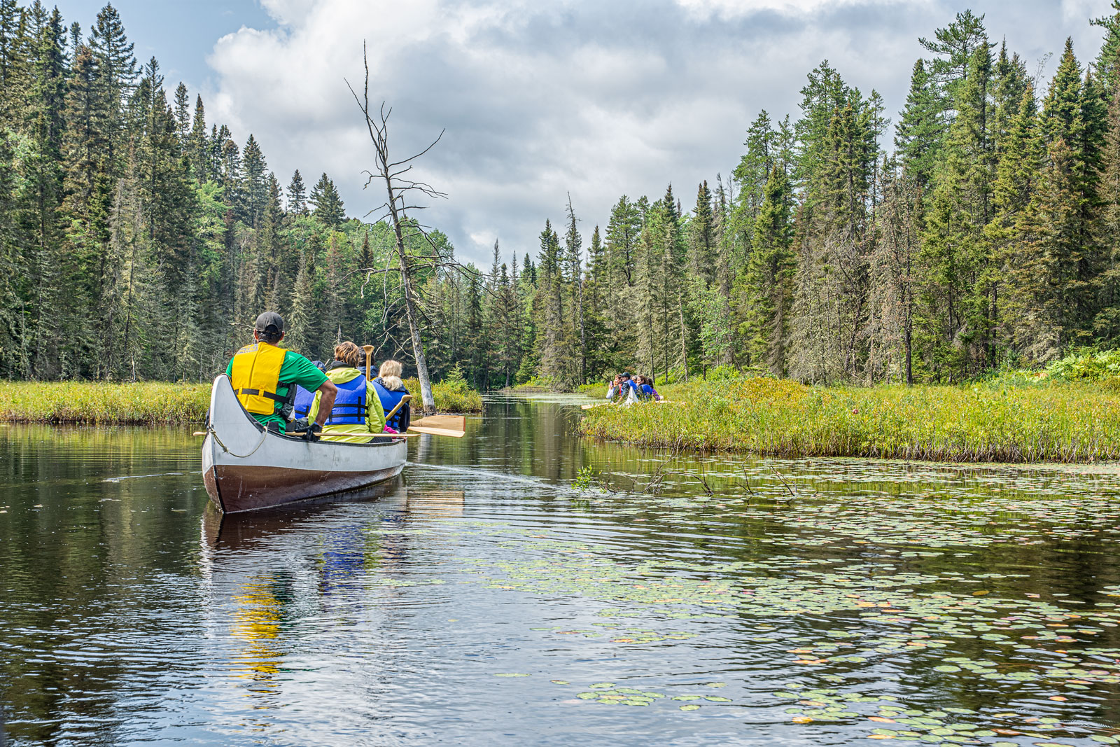 In Search of Beavers- Boreal Forest