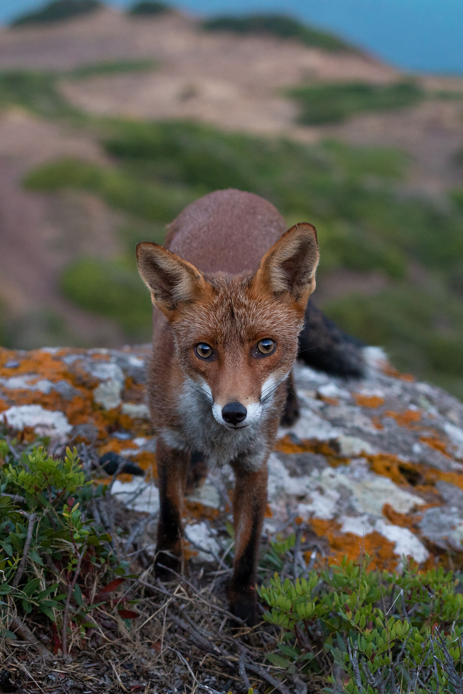 But I want to remind you how you were thinking that you stil...