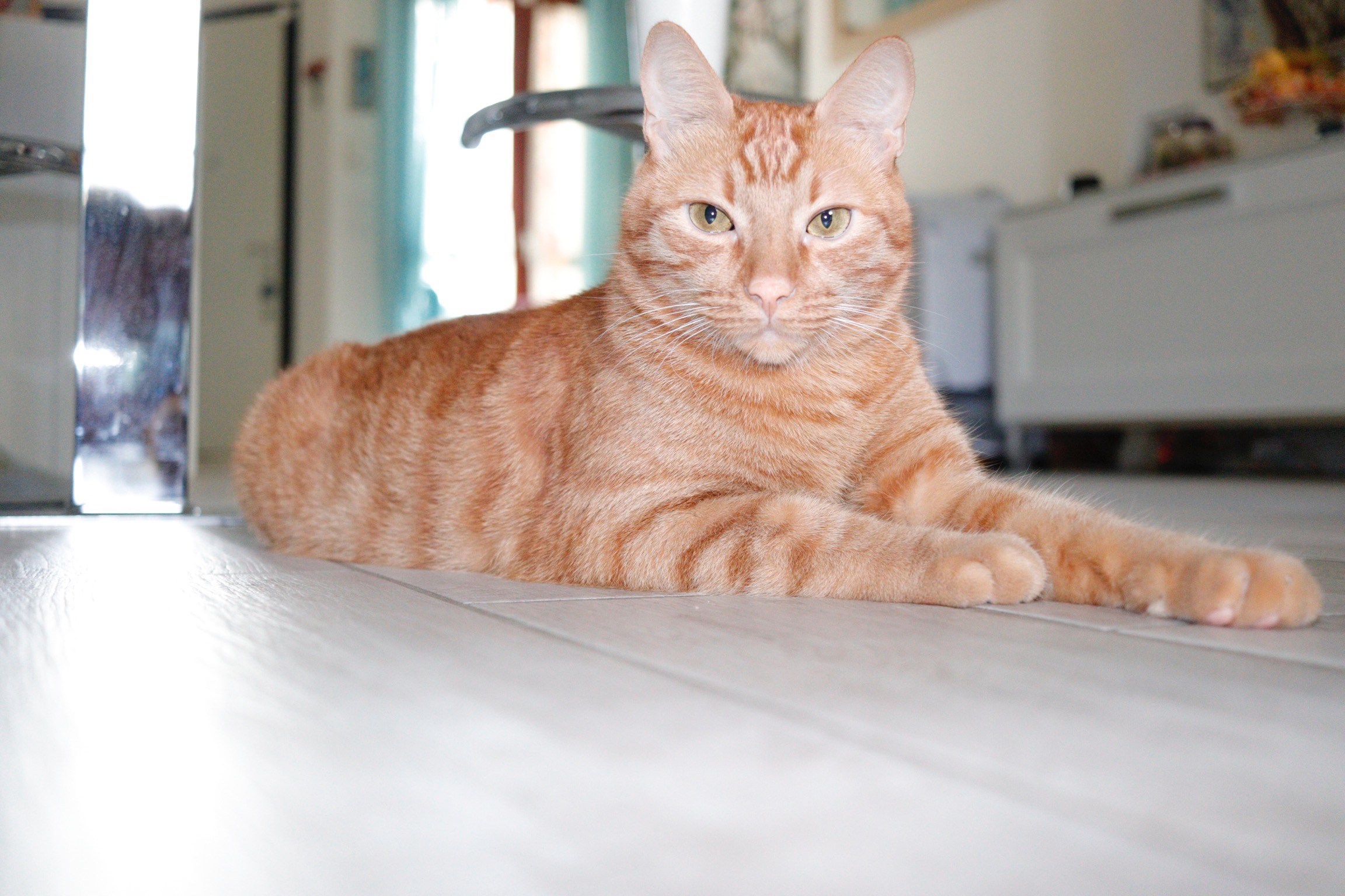 Rasty's lookout... ??