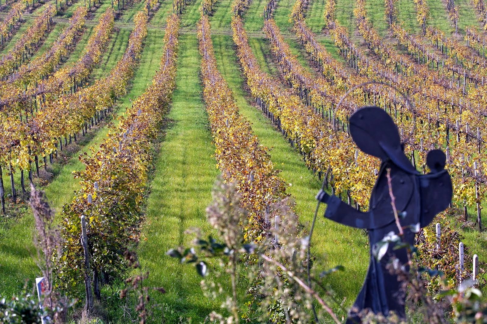 9229-Alice Beautiful Hill