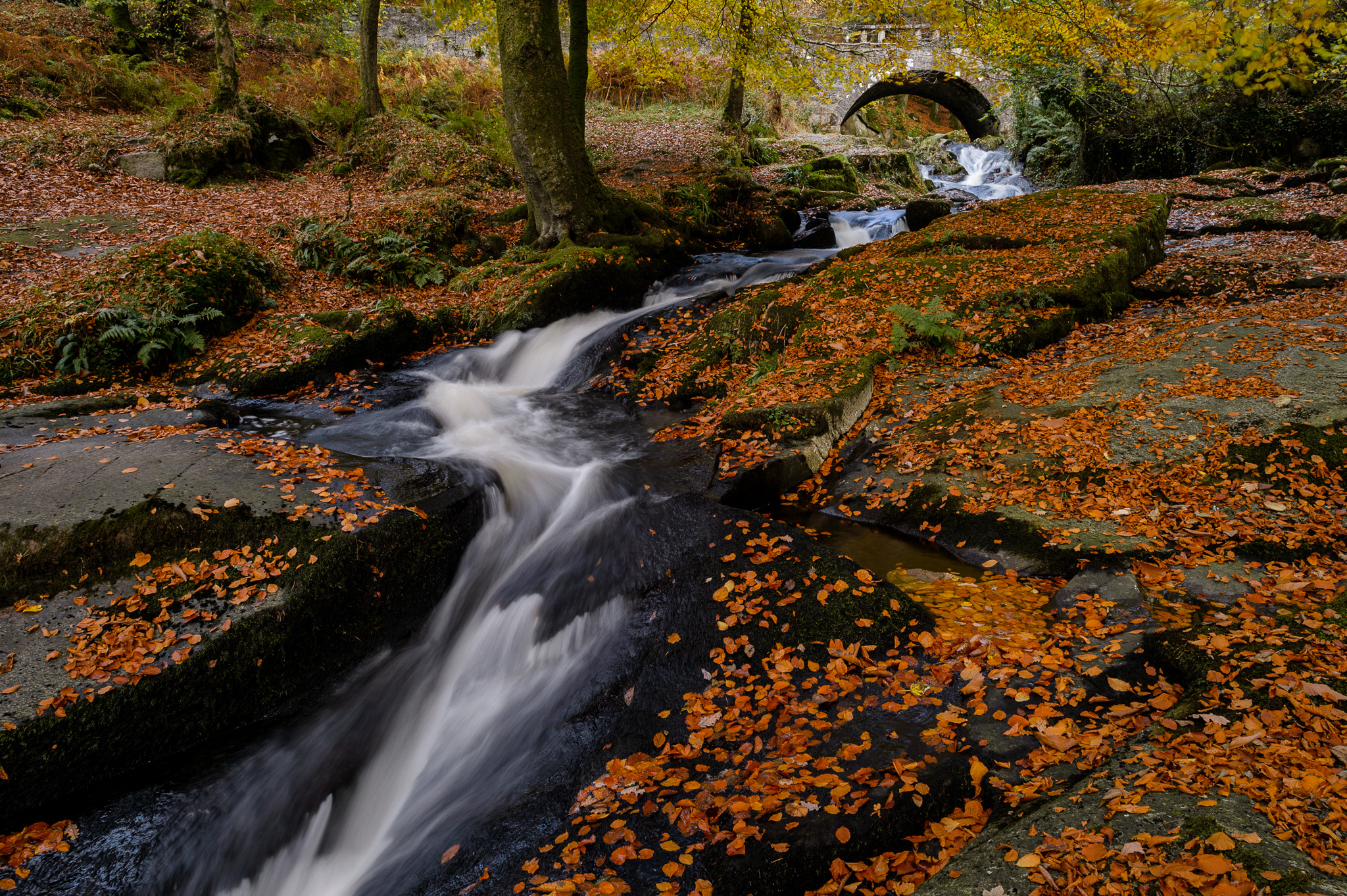 Shankhill river