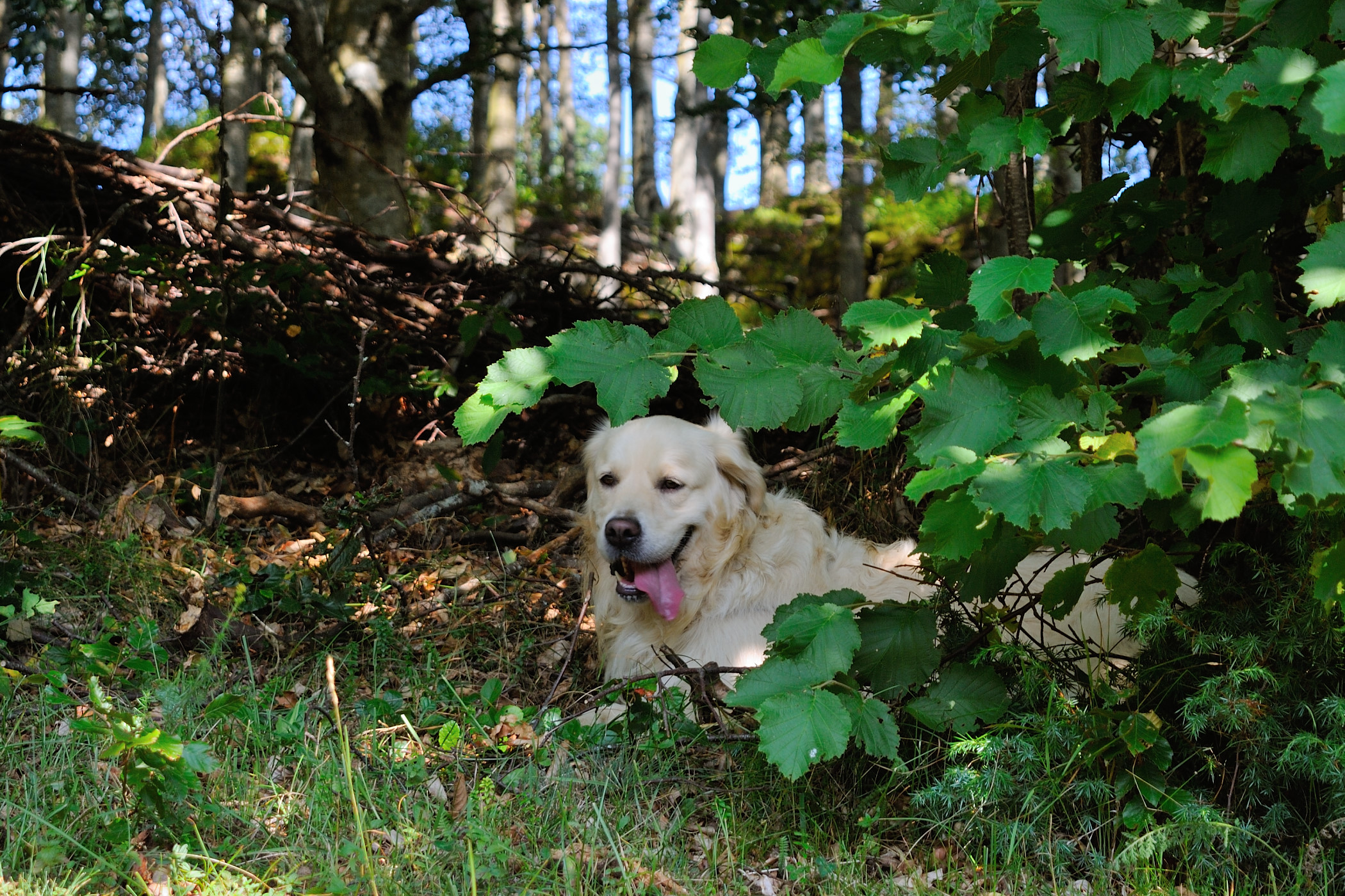 It's good here... al cool