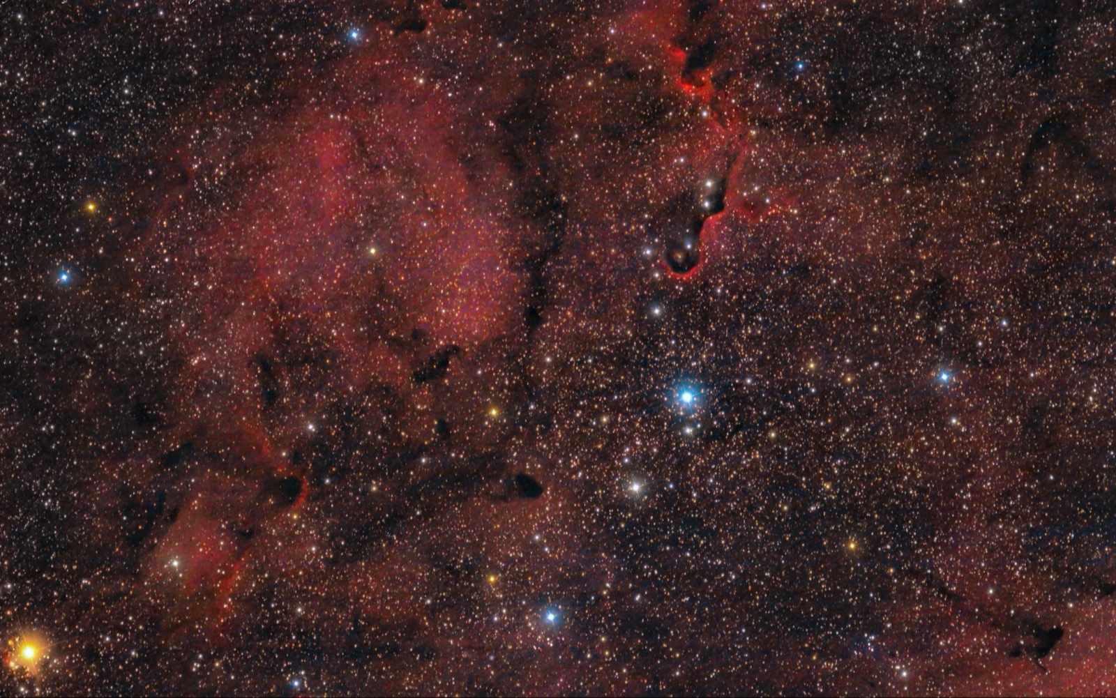 Parte del complesso nebulare ic1396 e trunk nebula