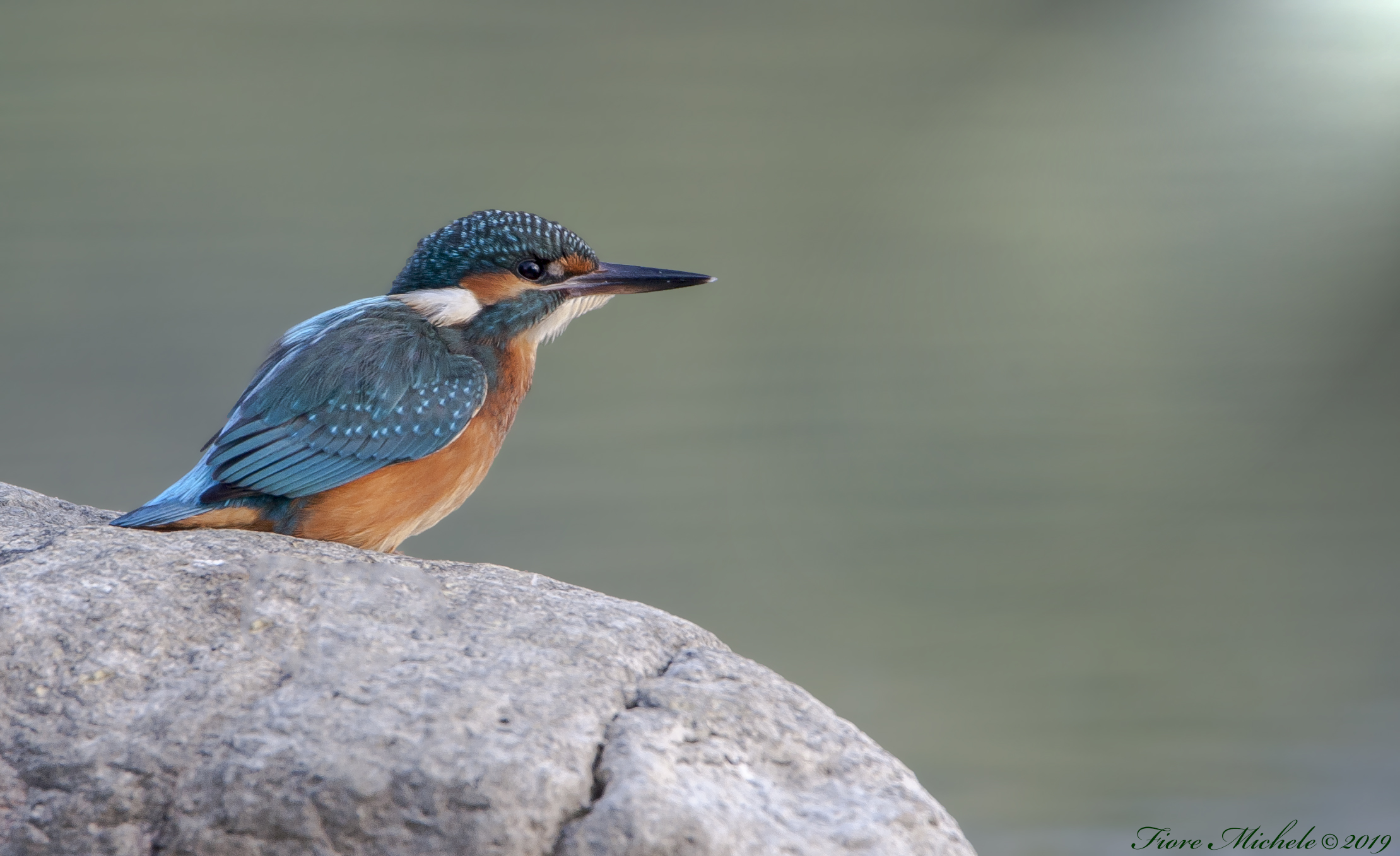 Il riposo del Martin