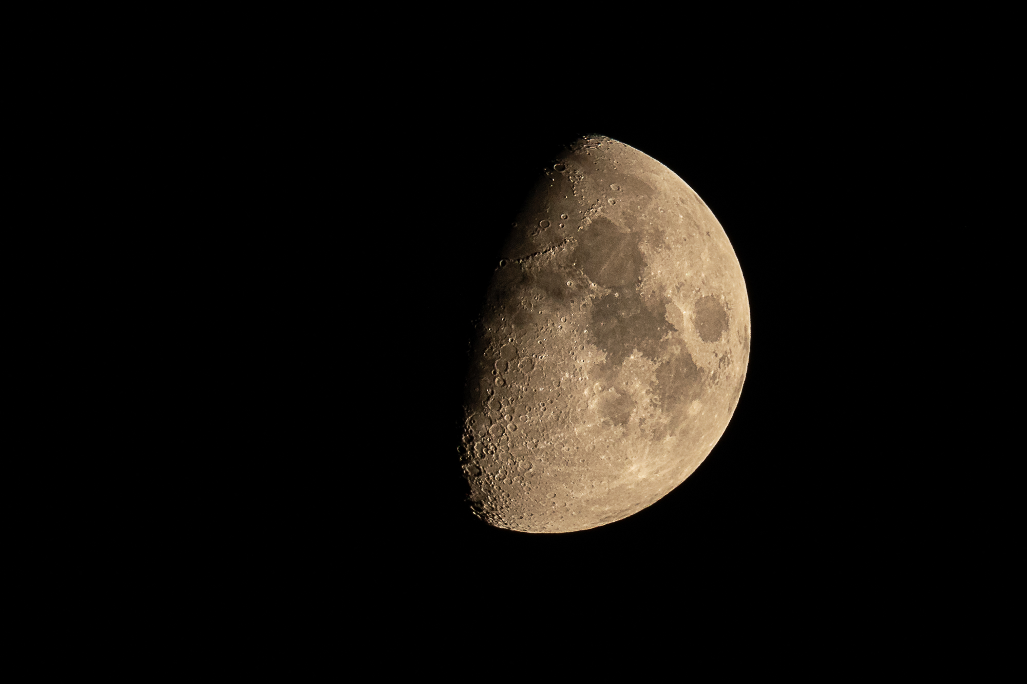 The Moon Last Night