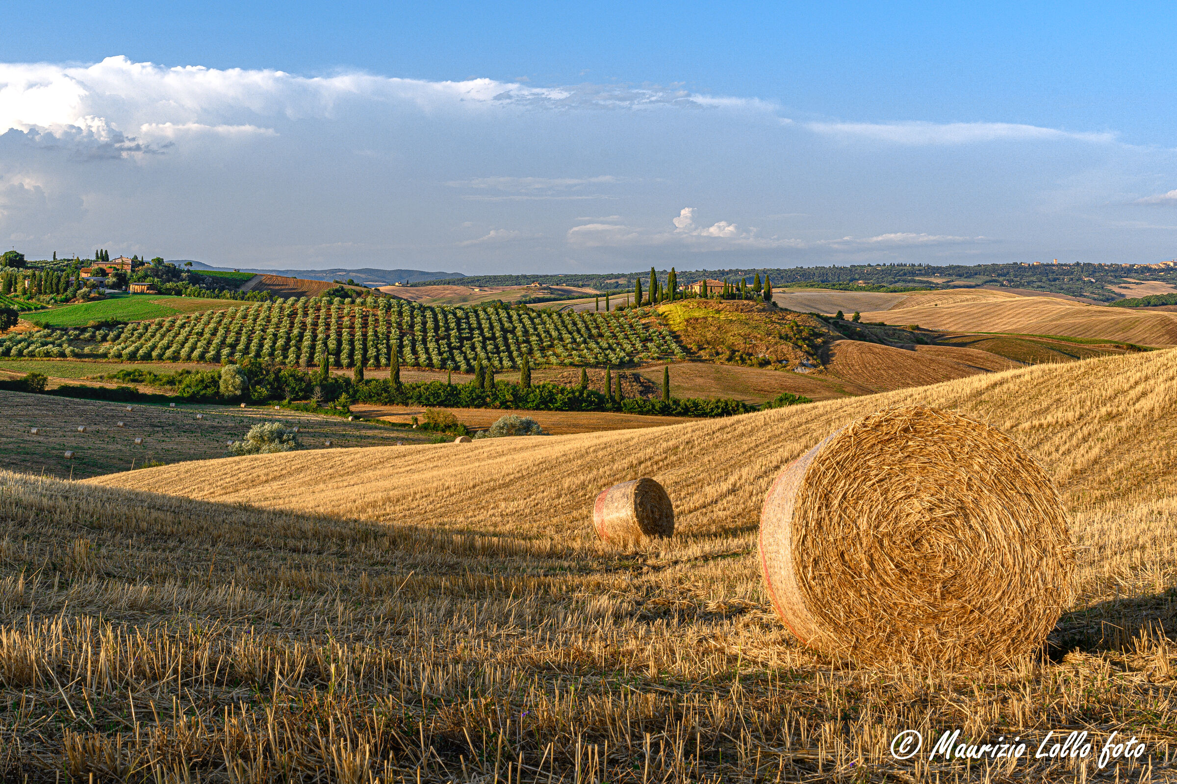 Poggio Belvedere (dal lato 'c')