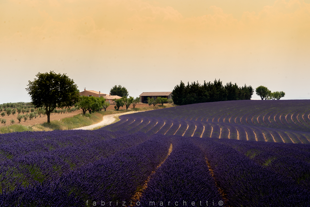 Valensole
