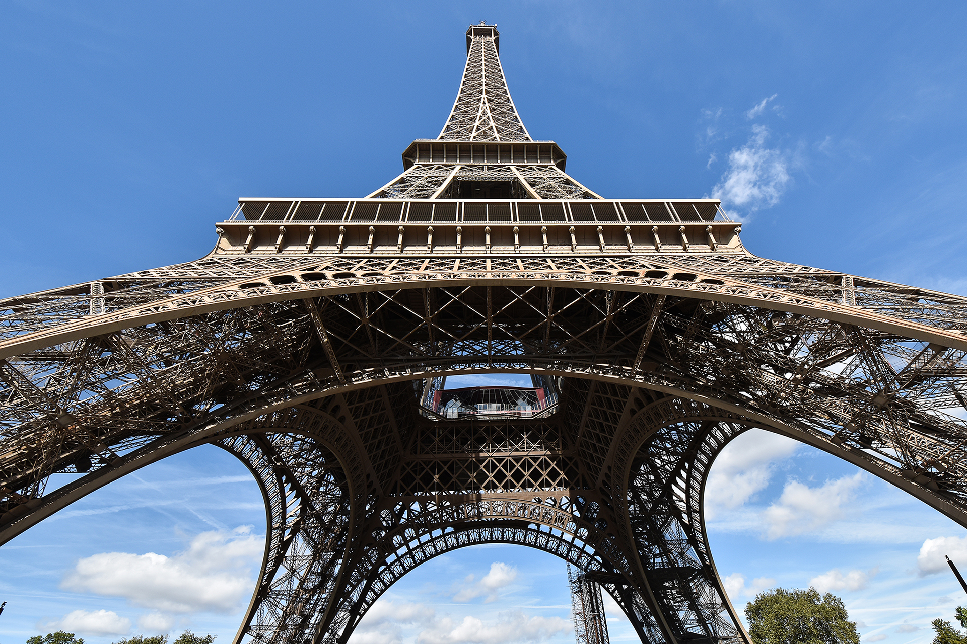 The Eiffel Tower from the Champ de Mars Gardens