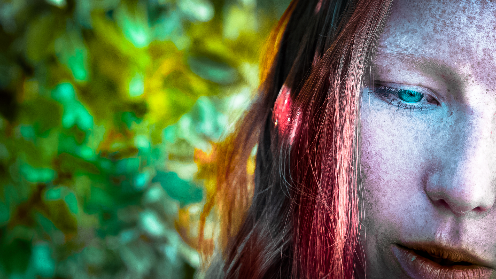 As of autumn the leaves