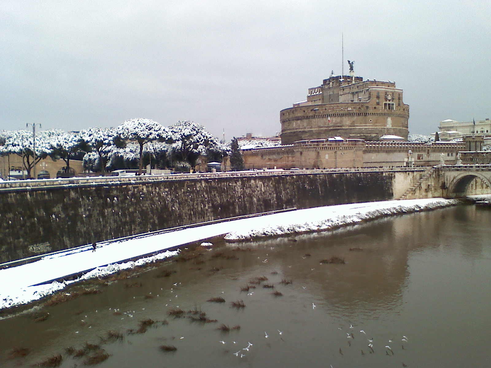 Snowy Rome, 4.2.2012