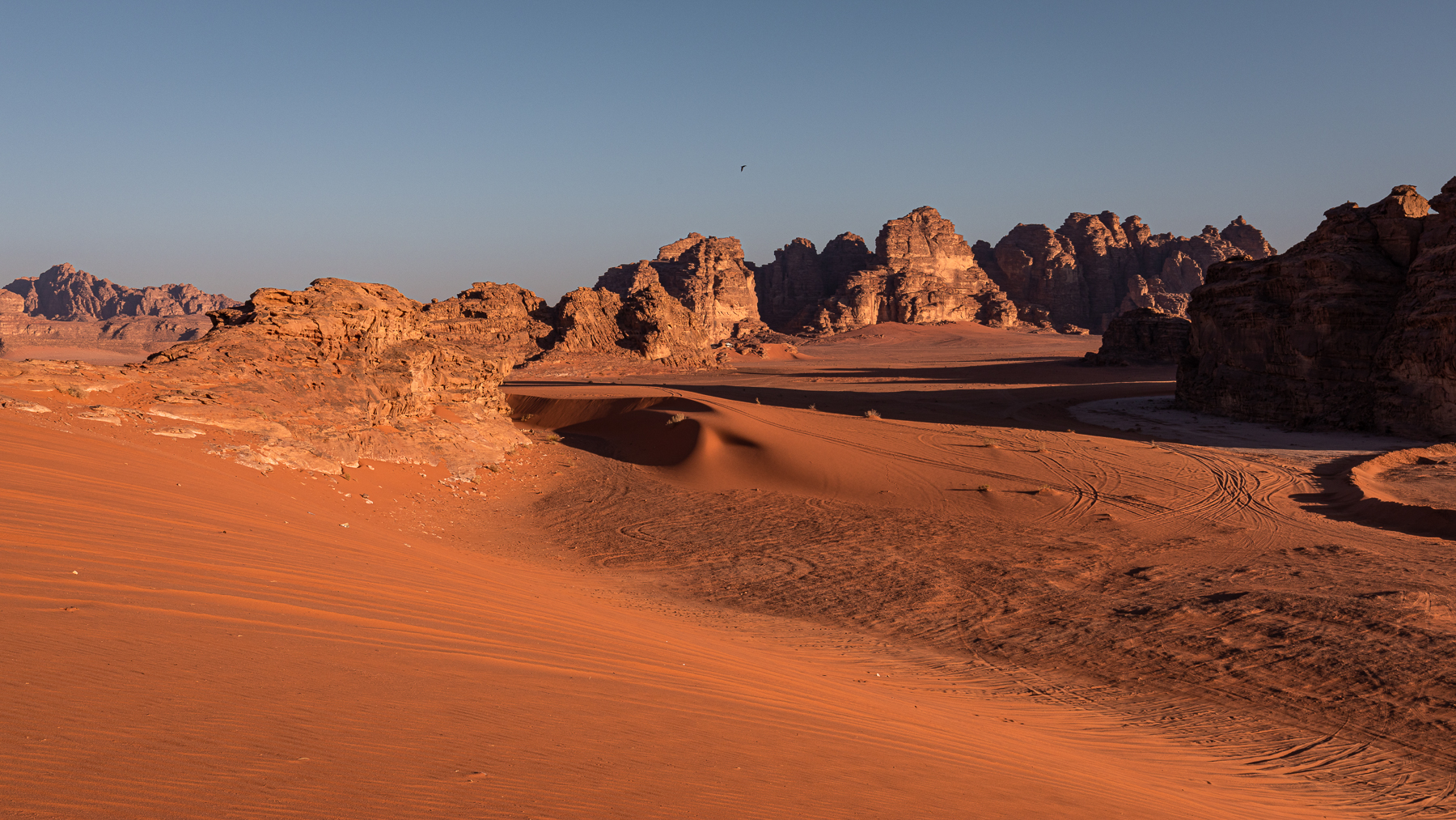 Albi on Wadi Rum