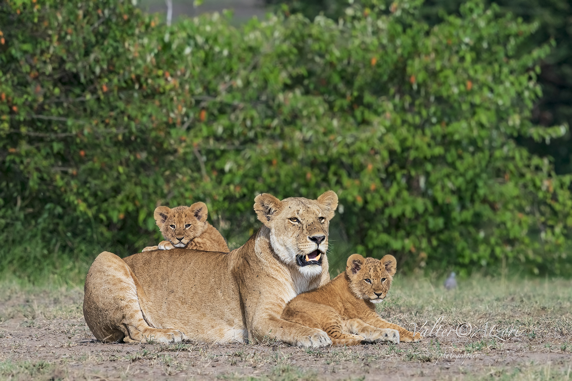 Mom with the two little ones
