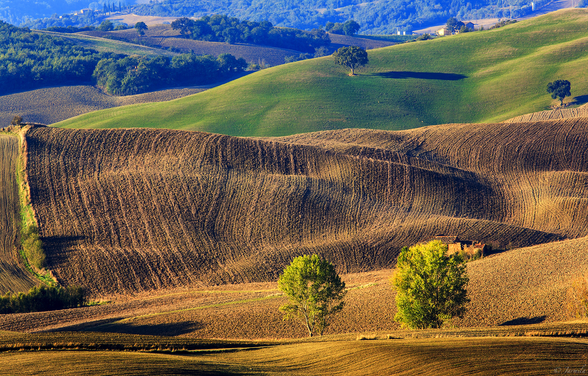 Val d'Orcia, a dreamlike landscape