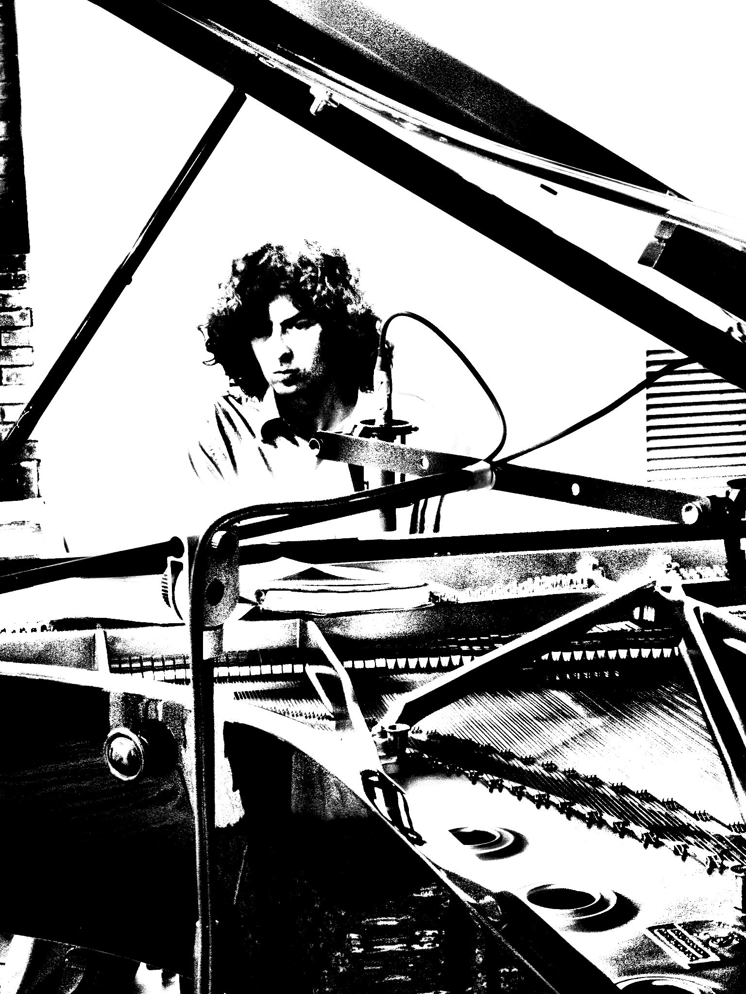 Grand tail with 1/2 pianist