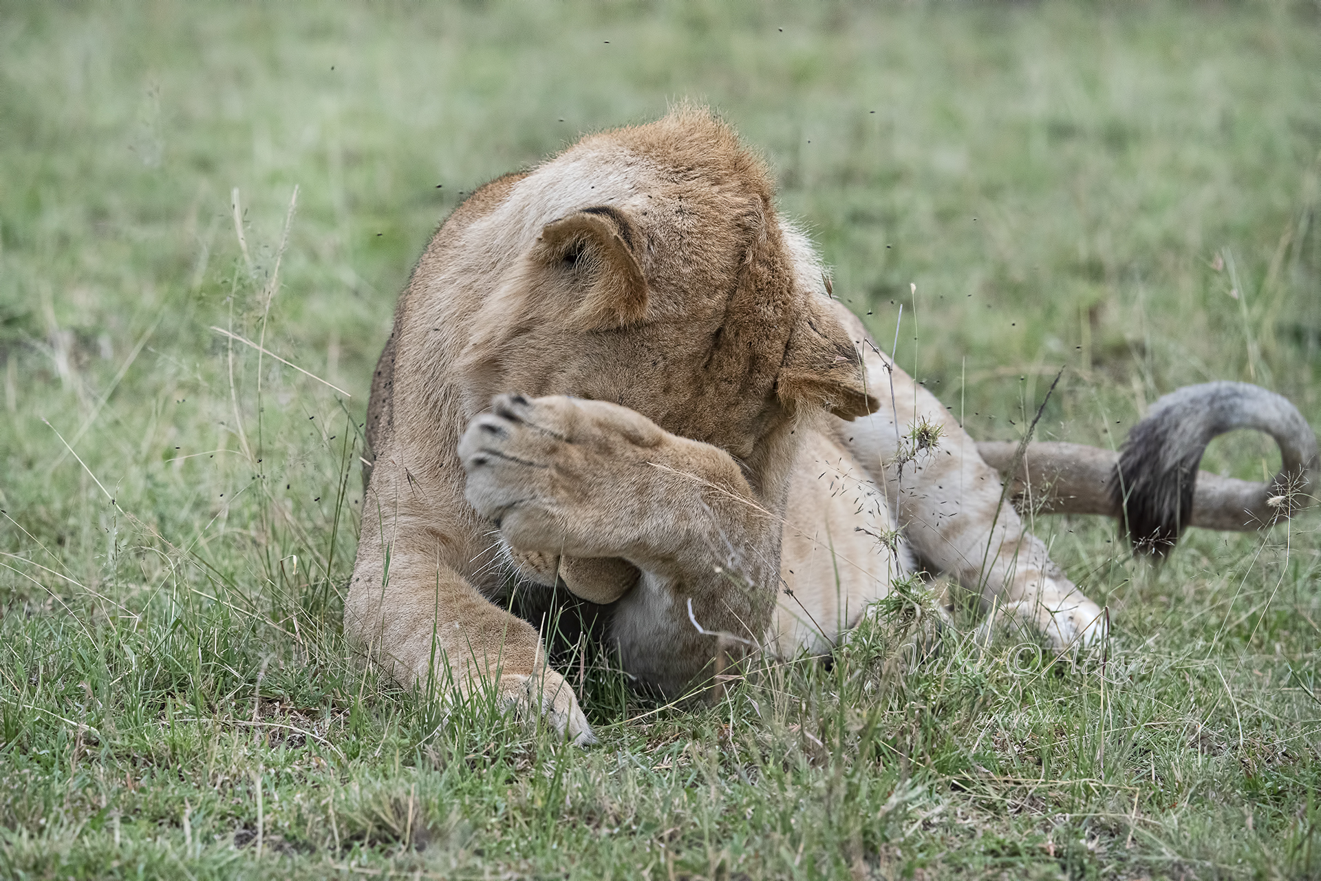 Just!! I don't want to be photographed anymore