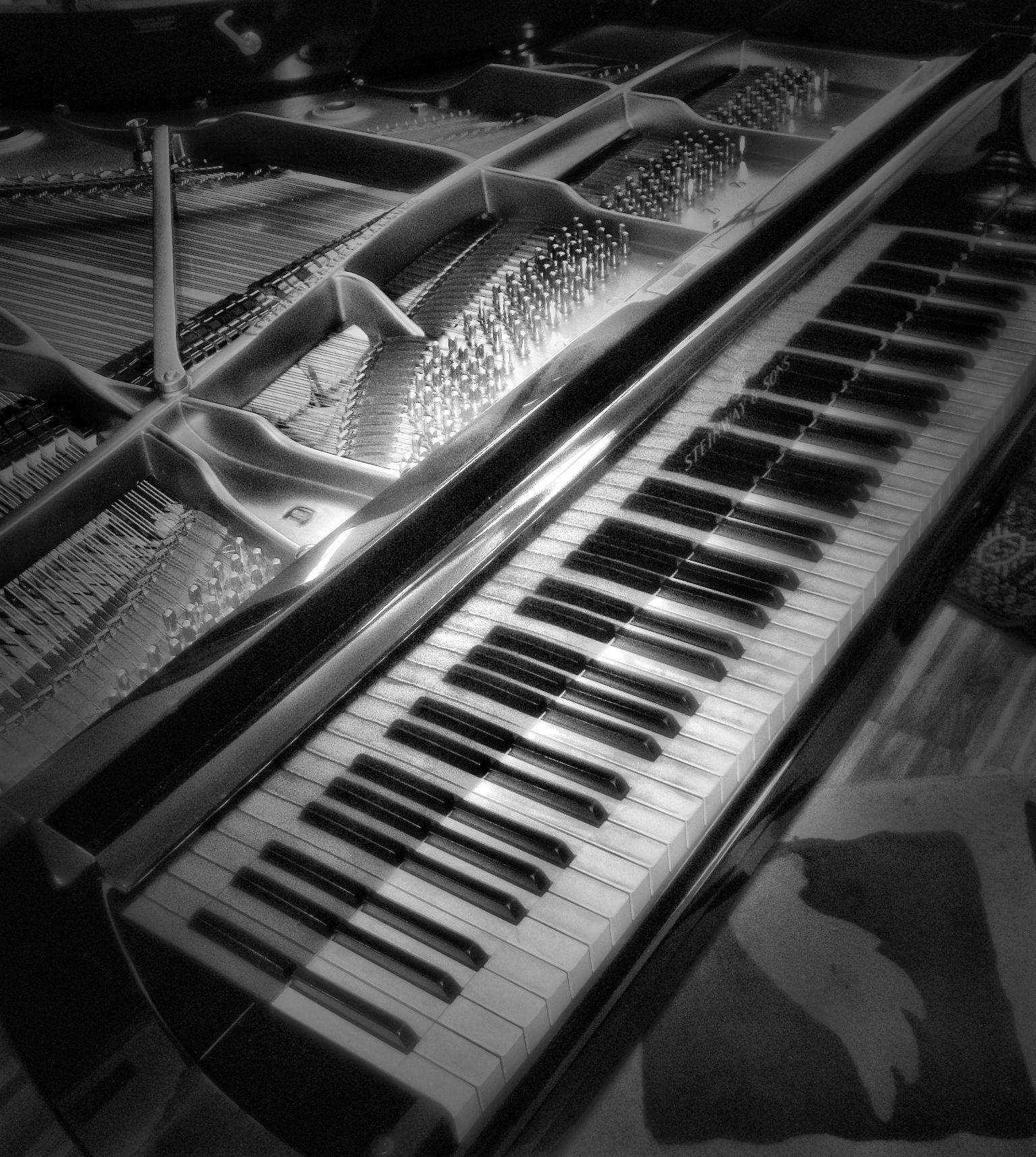 Steinway dual keyboard. Unique specimen