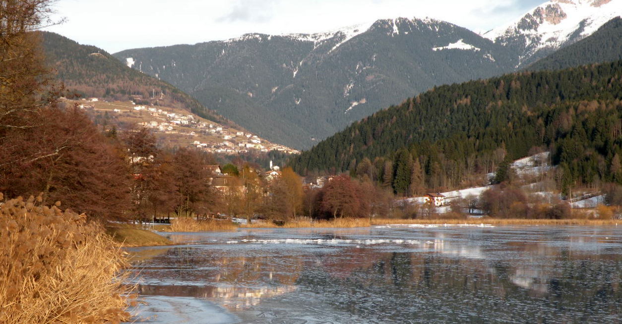 Colors Winter Pine '