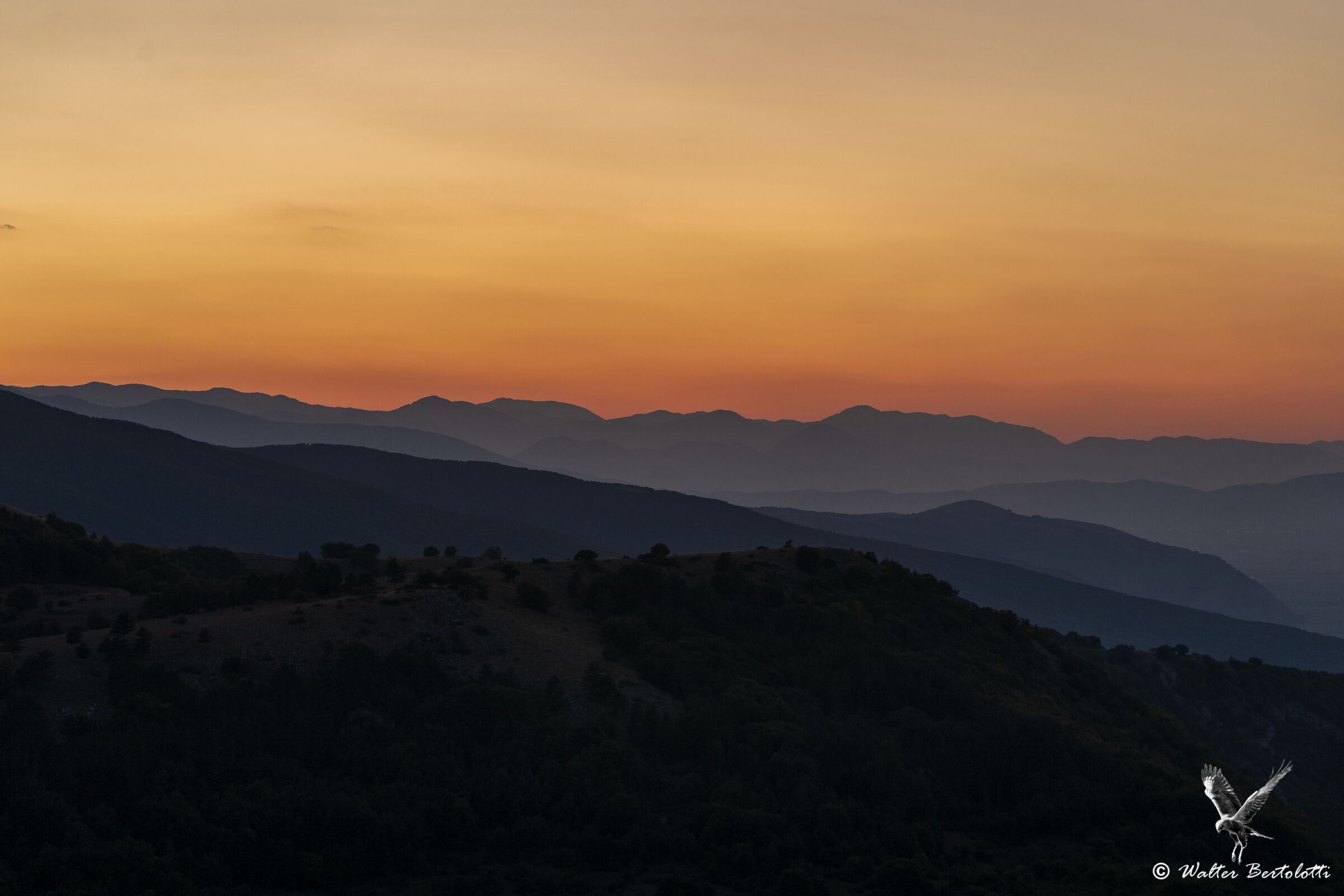 Sunset over Abruzzo National Park