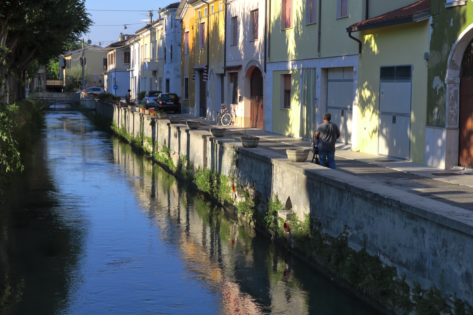 1Dsmk2 developed with "Kodak Gold" profile C.D.