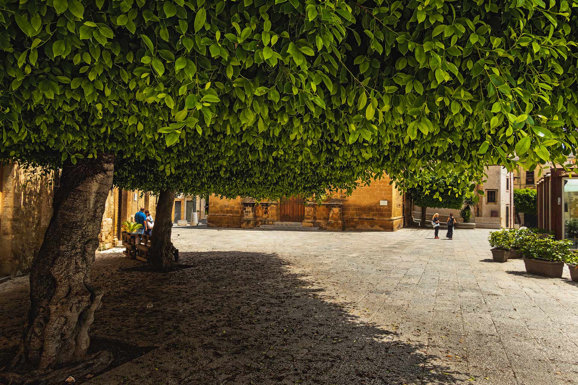 Piazza di Castelvetrano