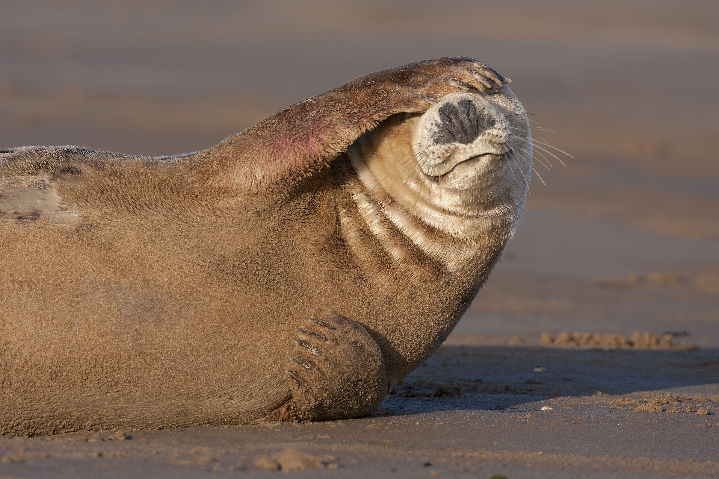 Don't look at me, I can't hear you...