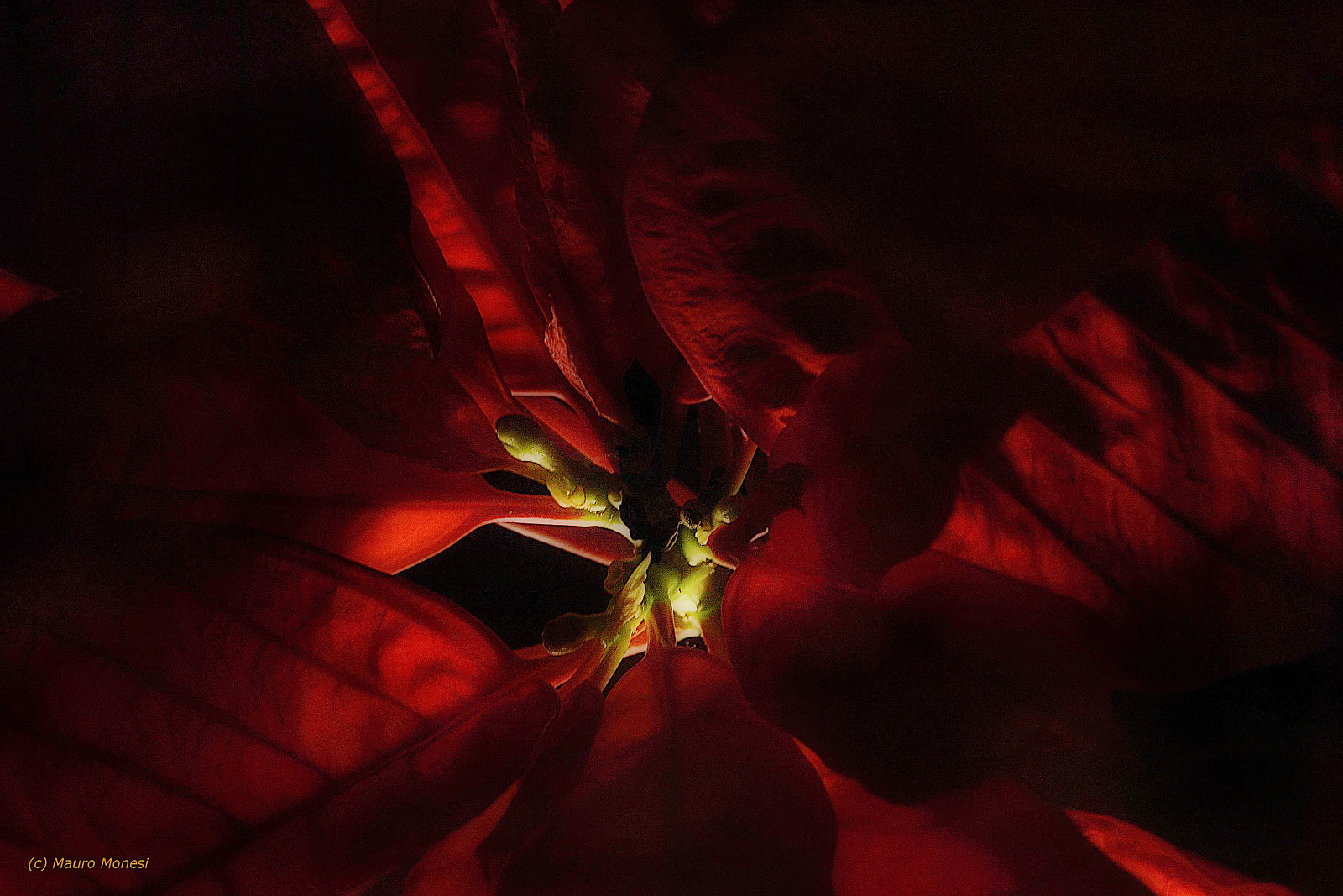 Giocando con la luce