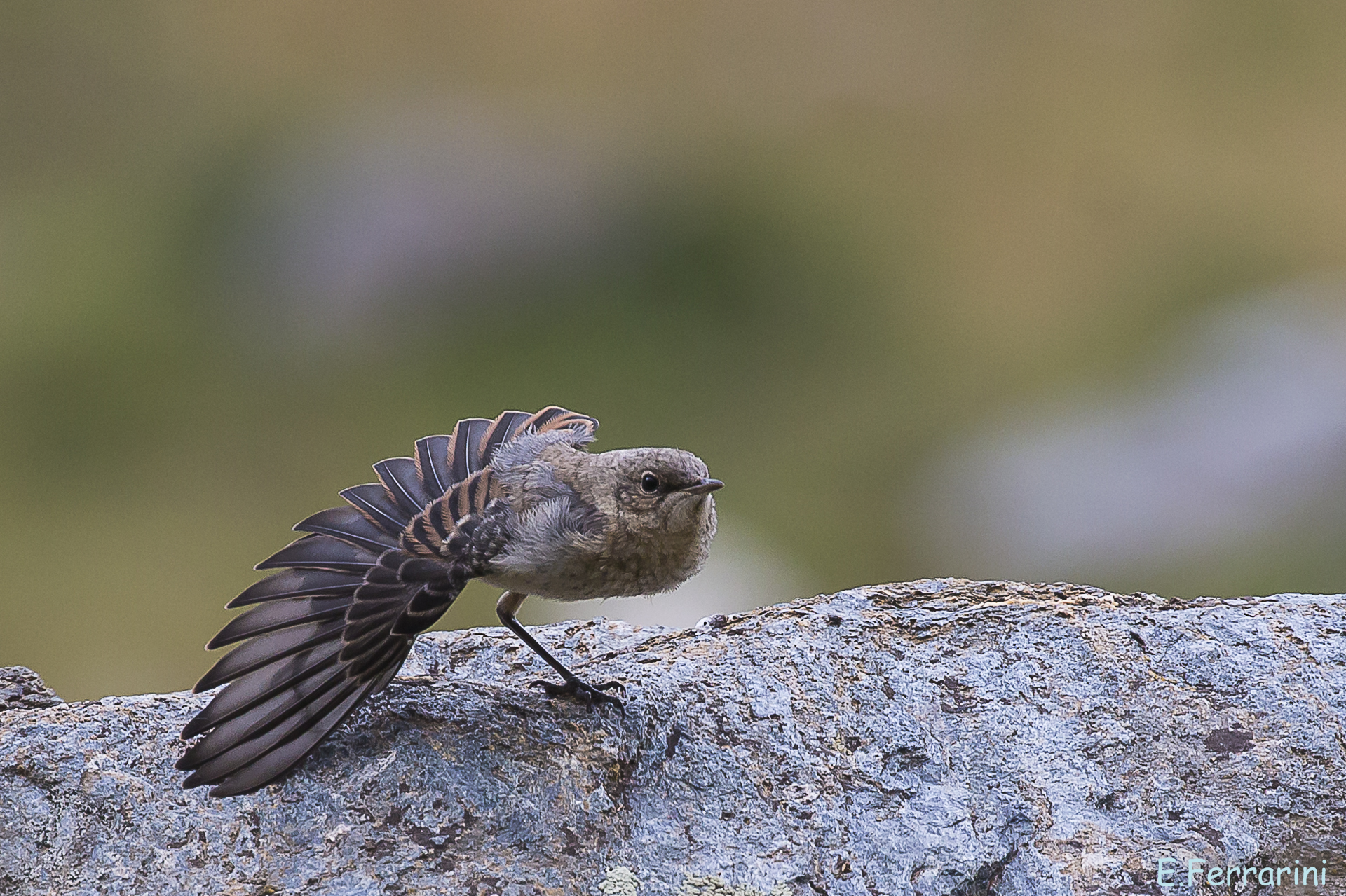 Let me get a little scratched.