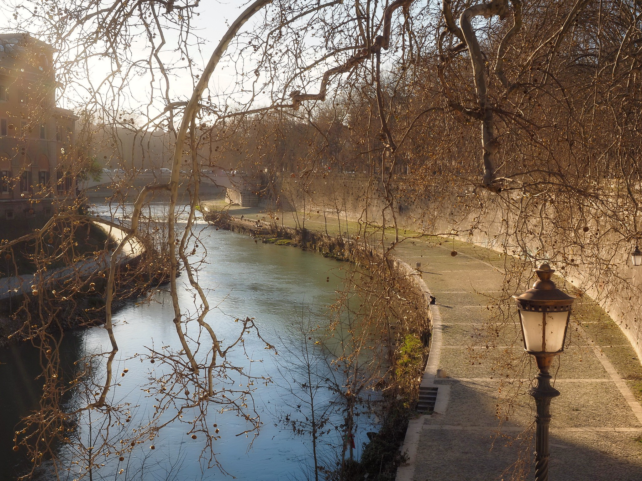Il biondo Tevere