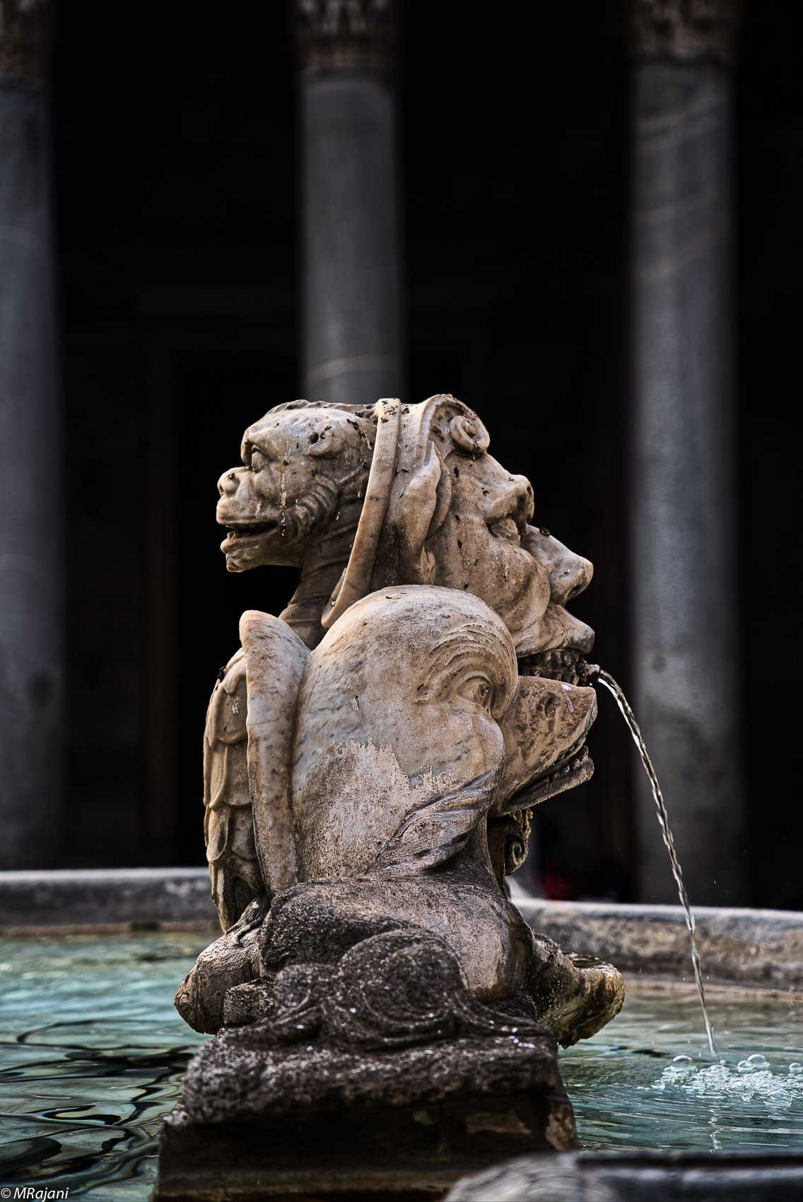 particolare fontana del Pantheon