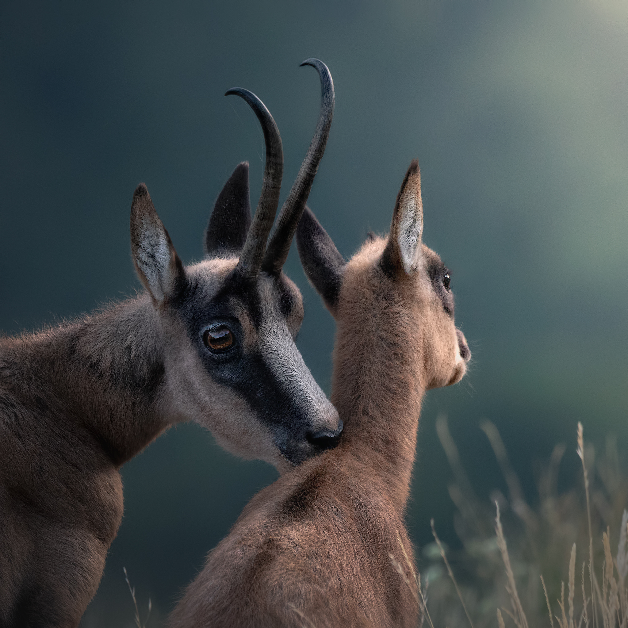 Mom and son, into the wild